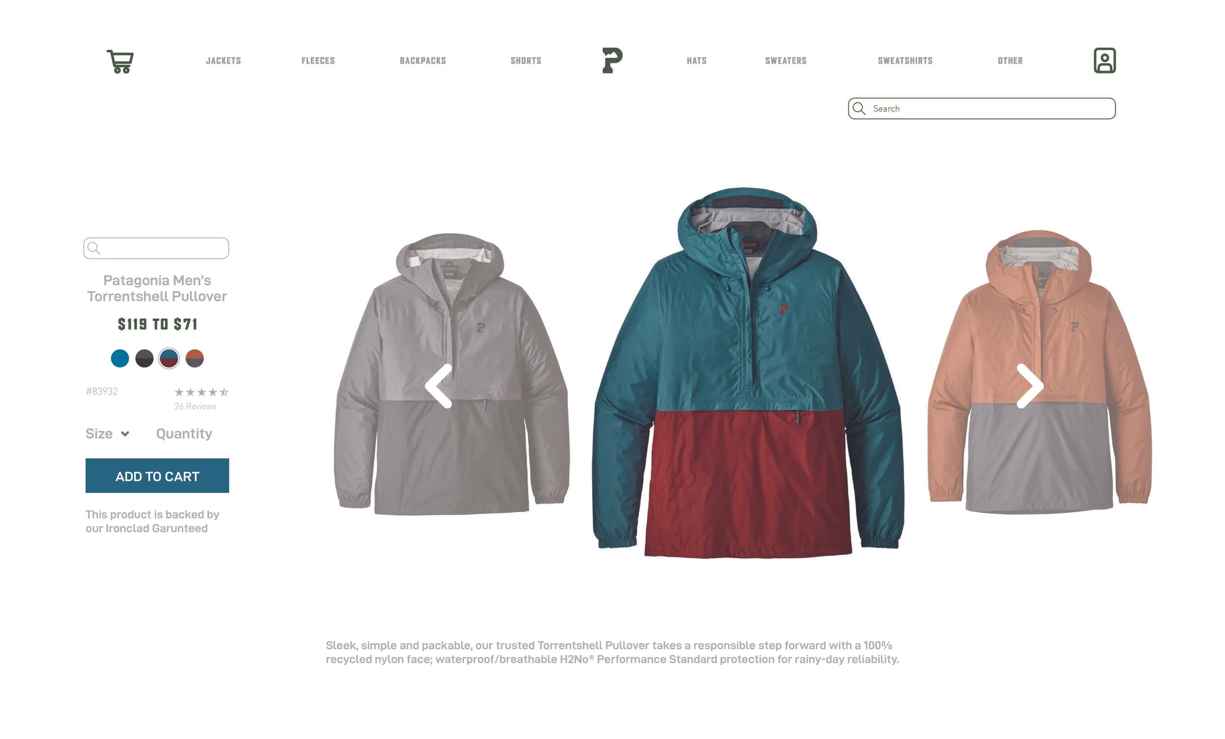 Patagonia Website3.jpg