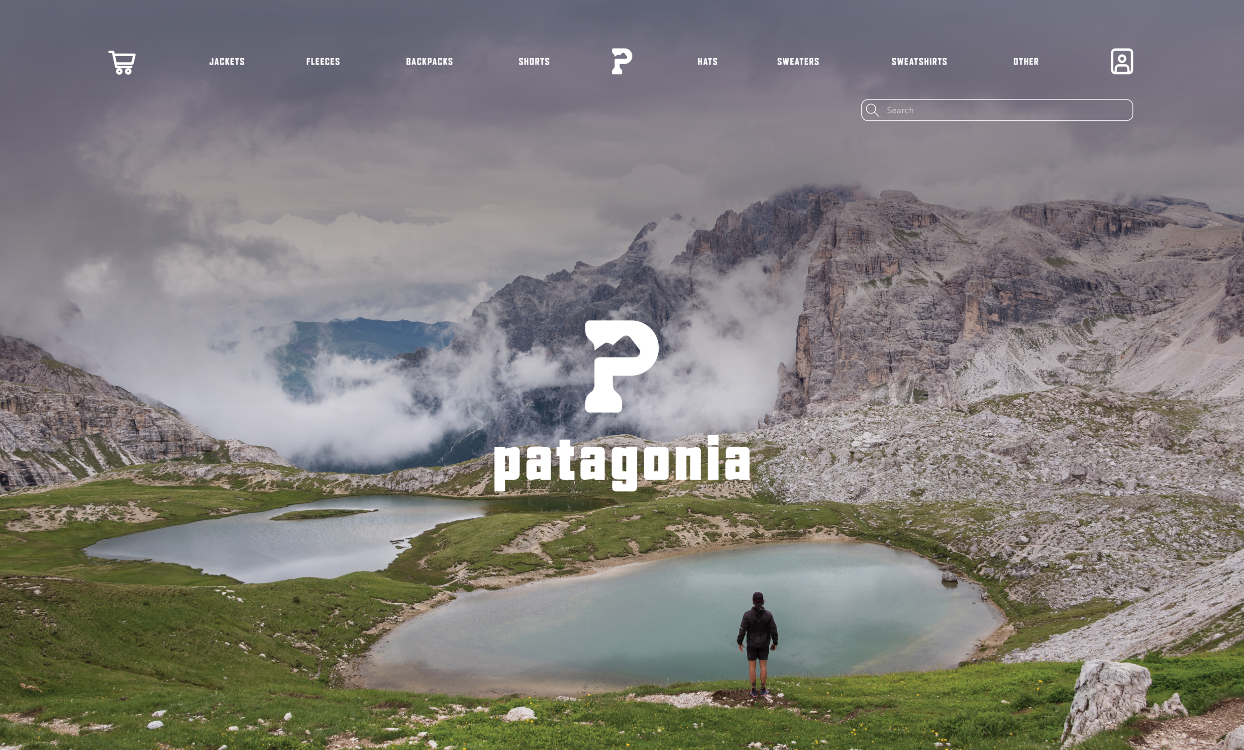 Patagonia Website Homepage.png