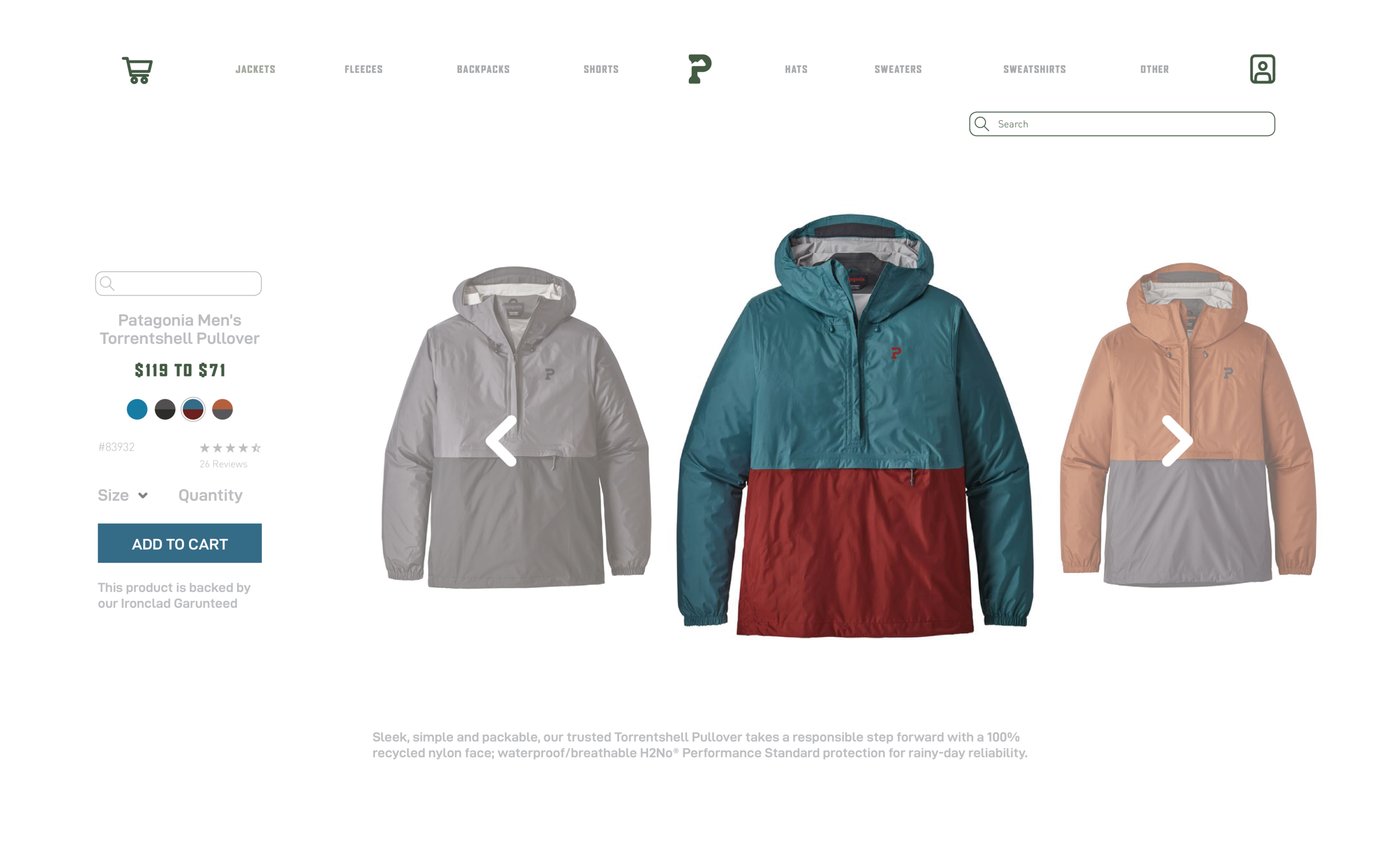 Patagonia Website Homepage3.png