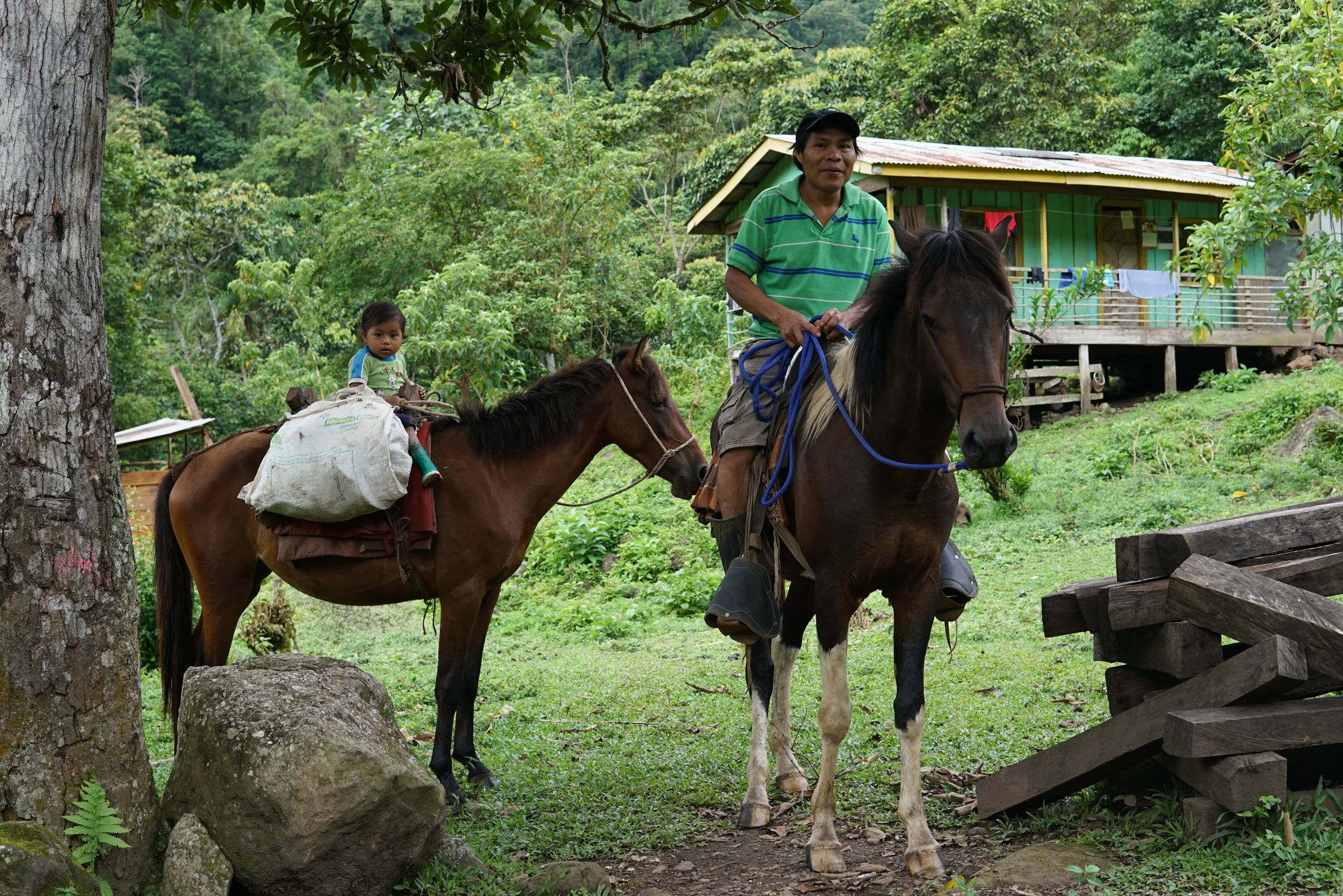 Father and child starting a trip.