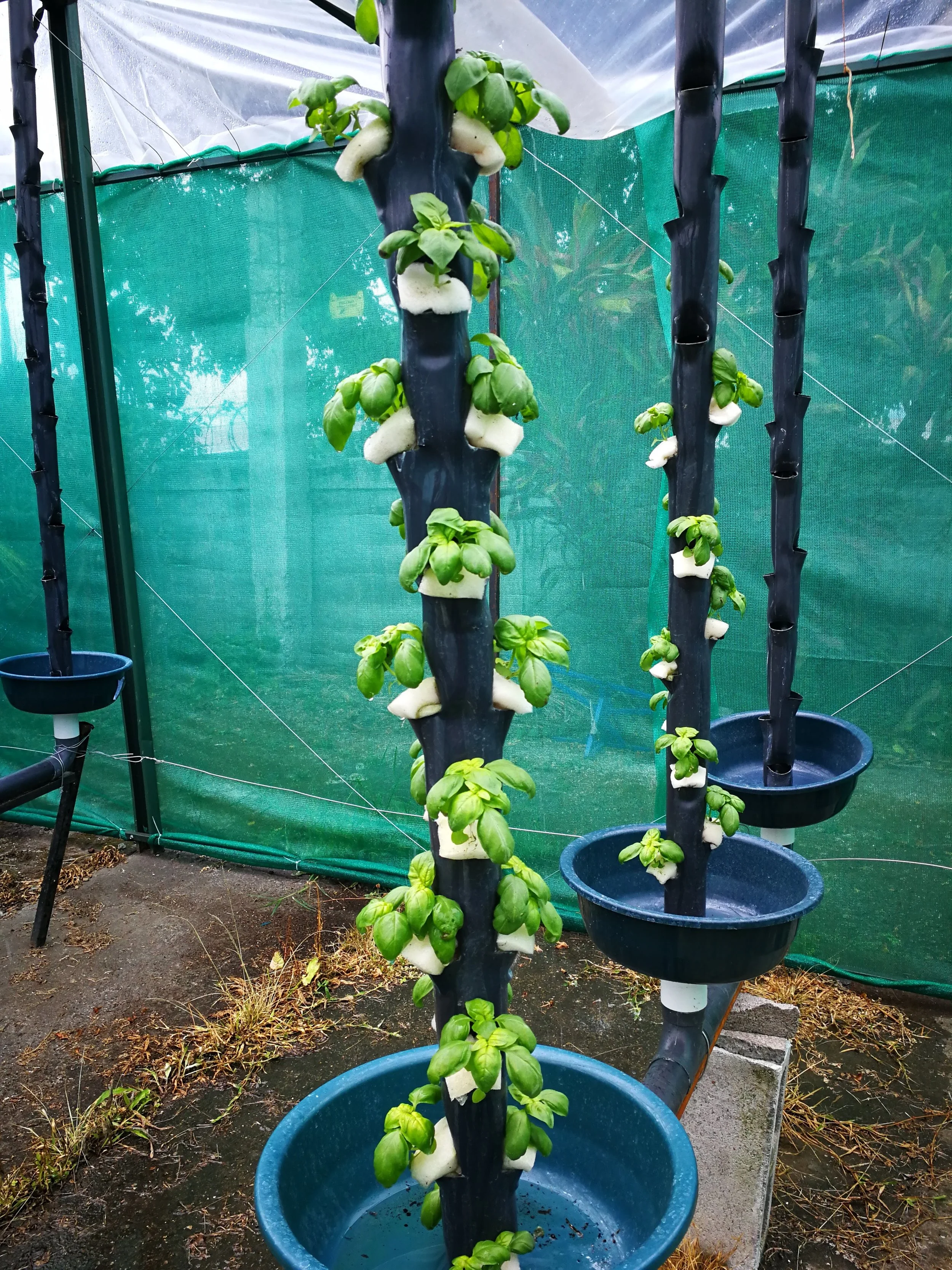 aquaponics