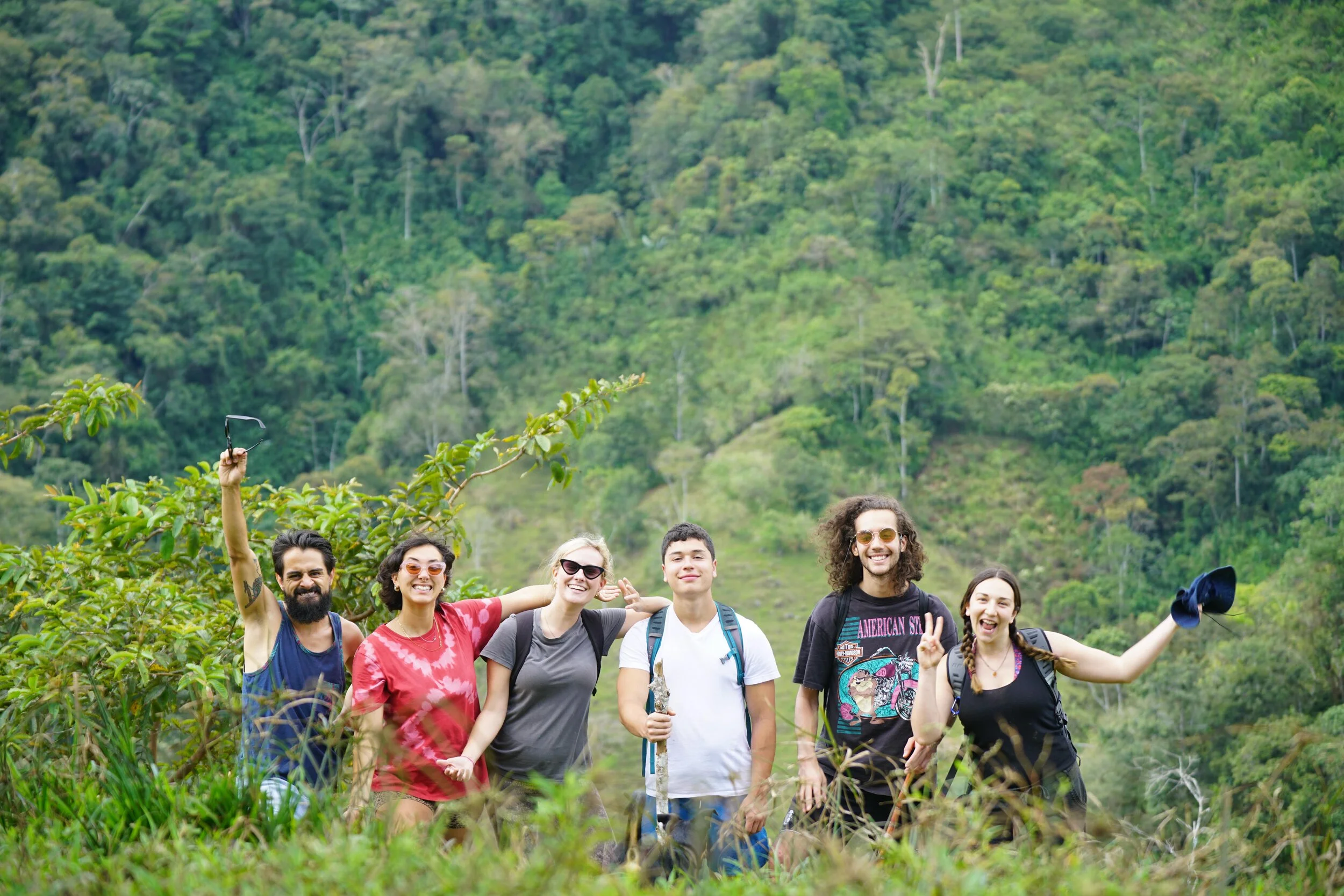 Reporte financiero - Primer año