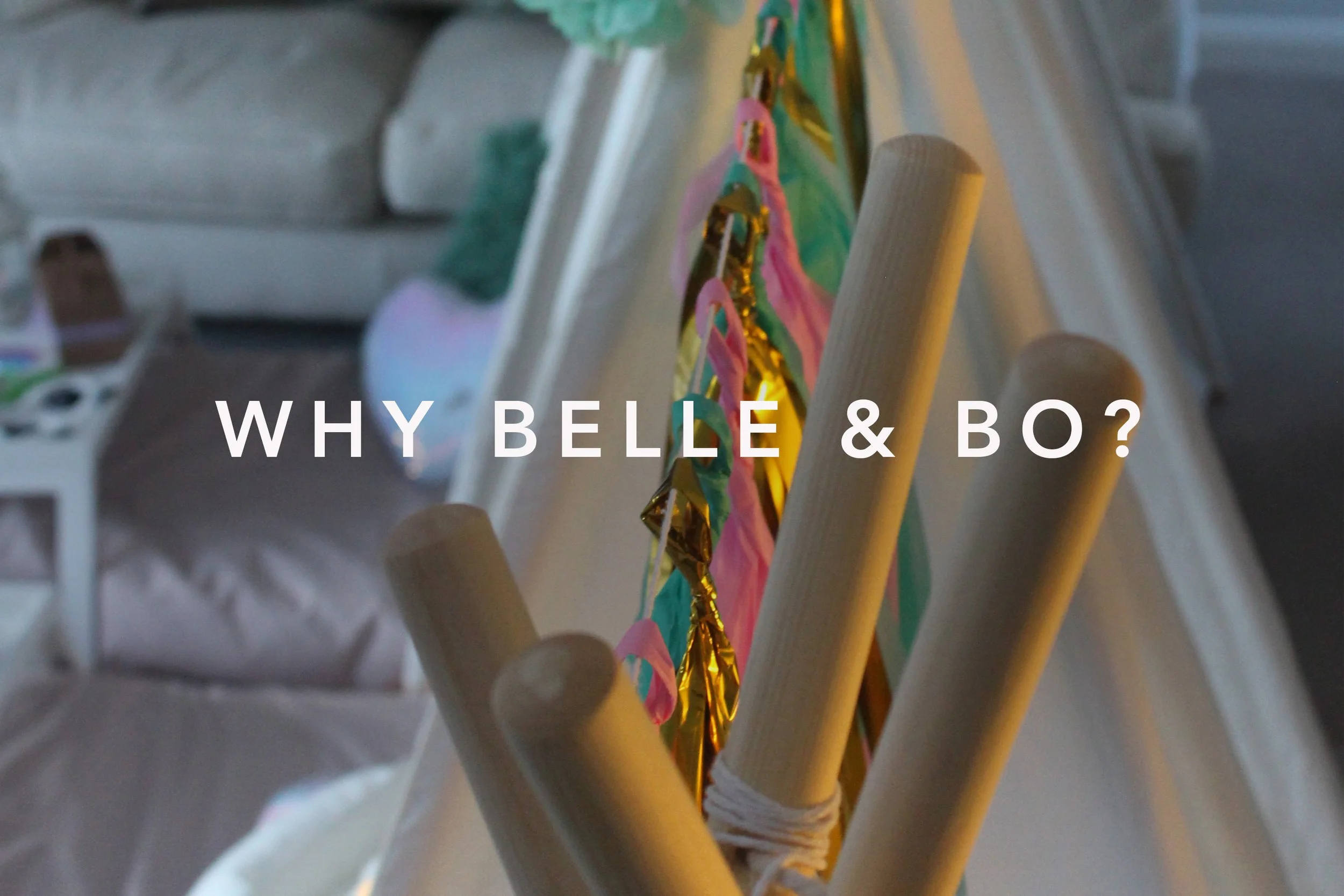 IMG_0827-why-banner v2.jpg