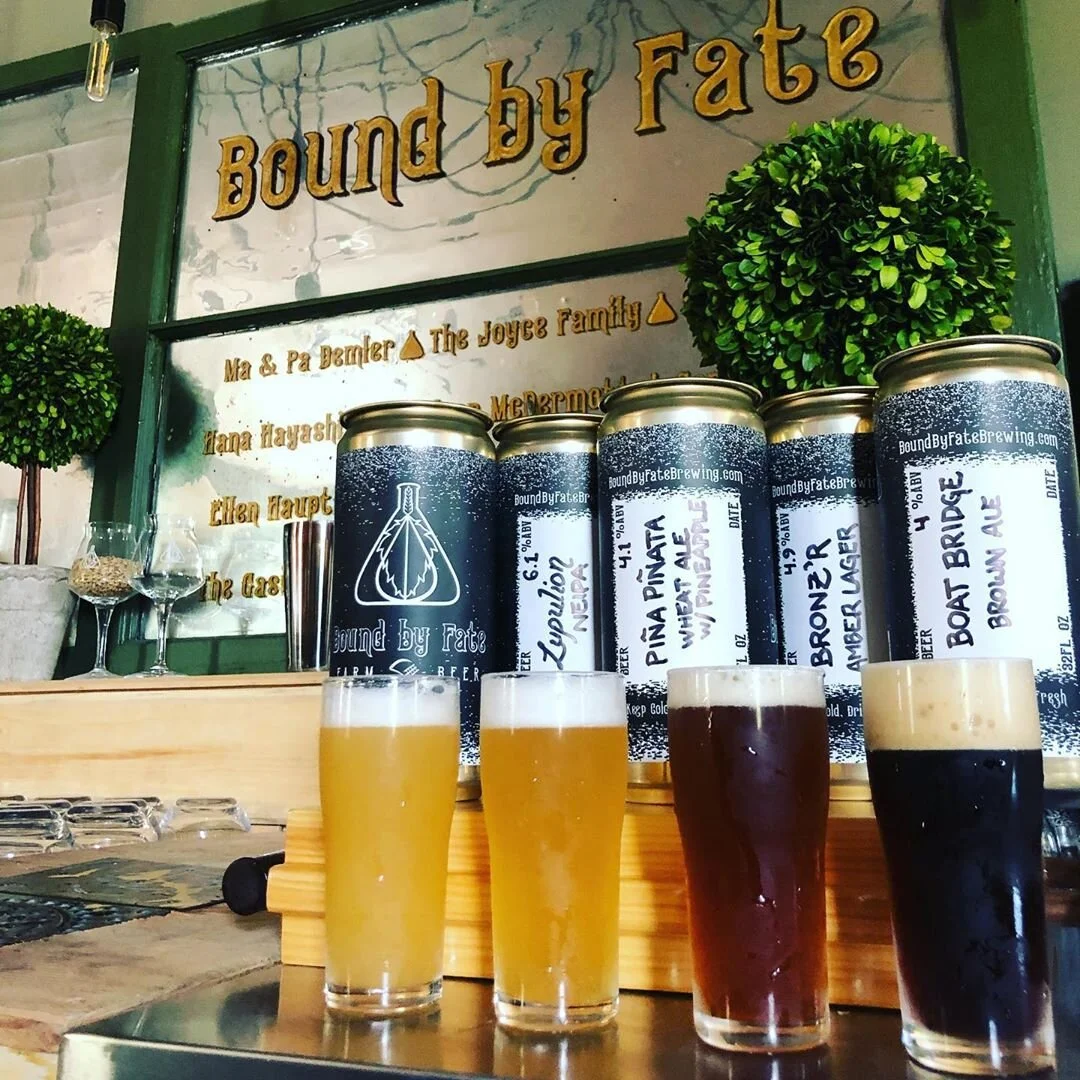 Flight and crowlers with sign in the background.jpg