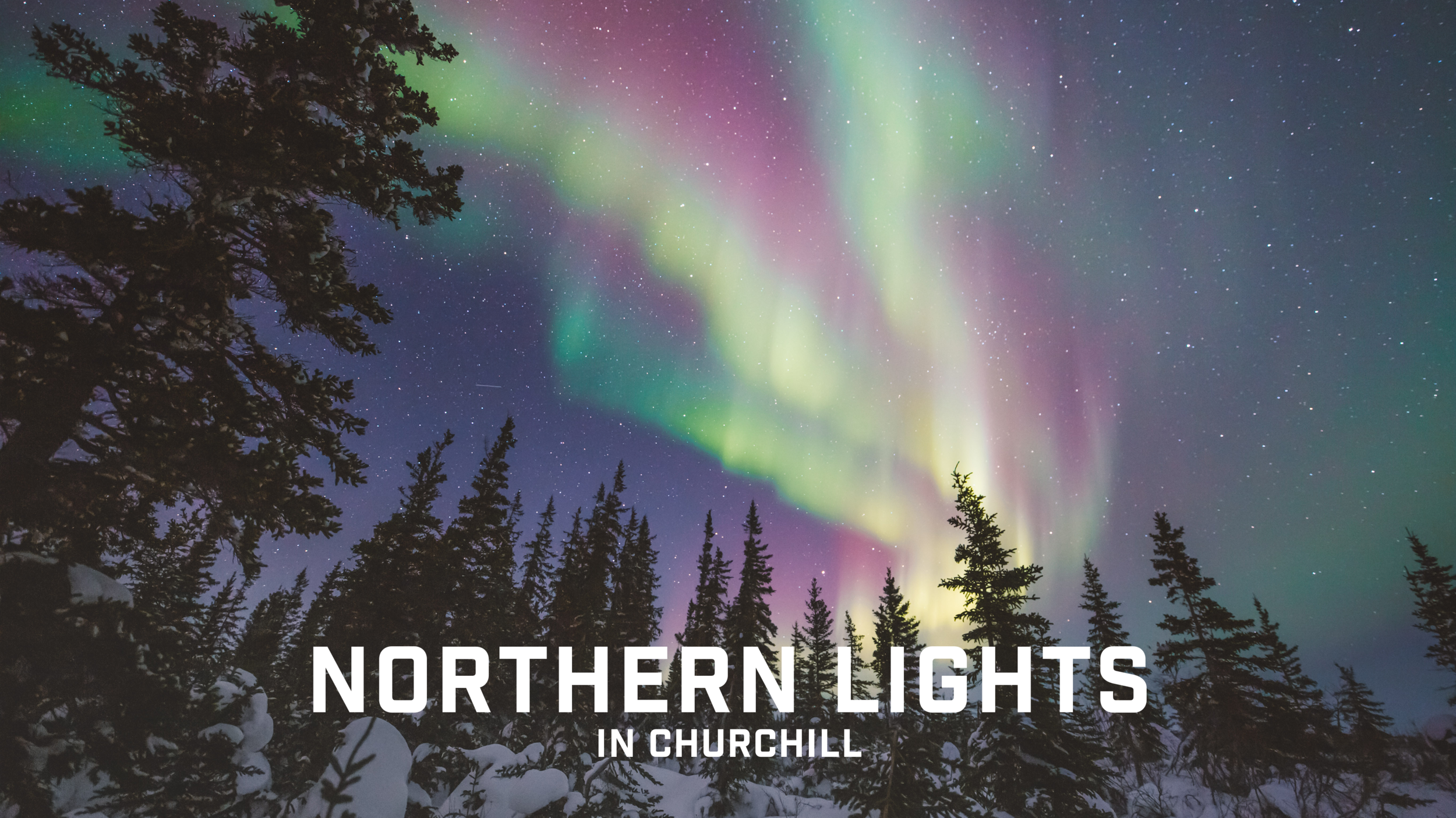 Northern Lights.png