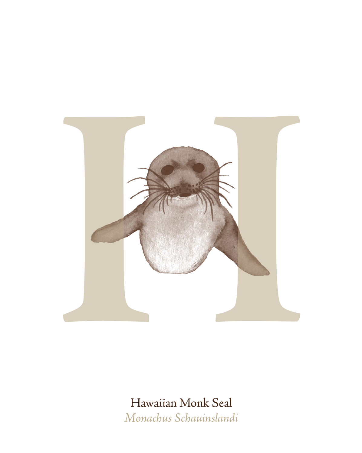 illustrated_sea_creatures-H.png
