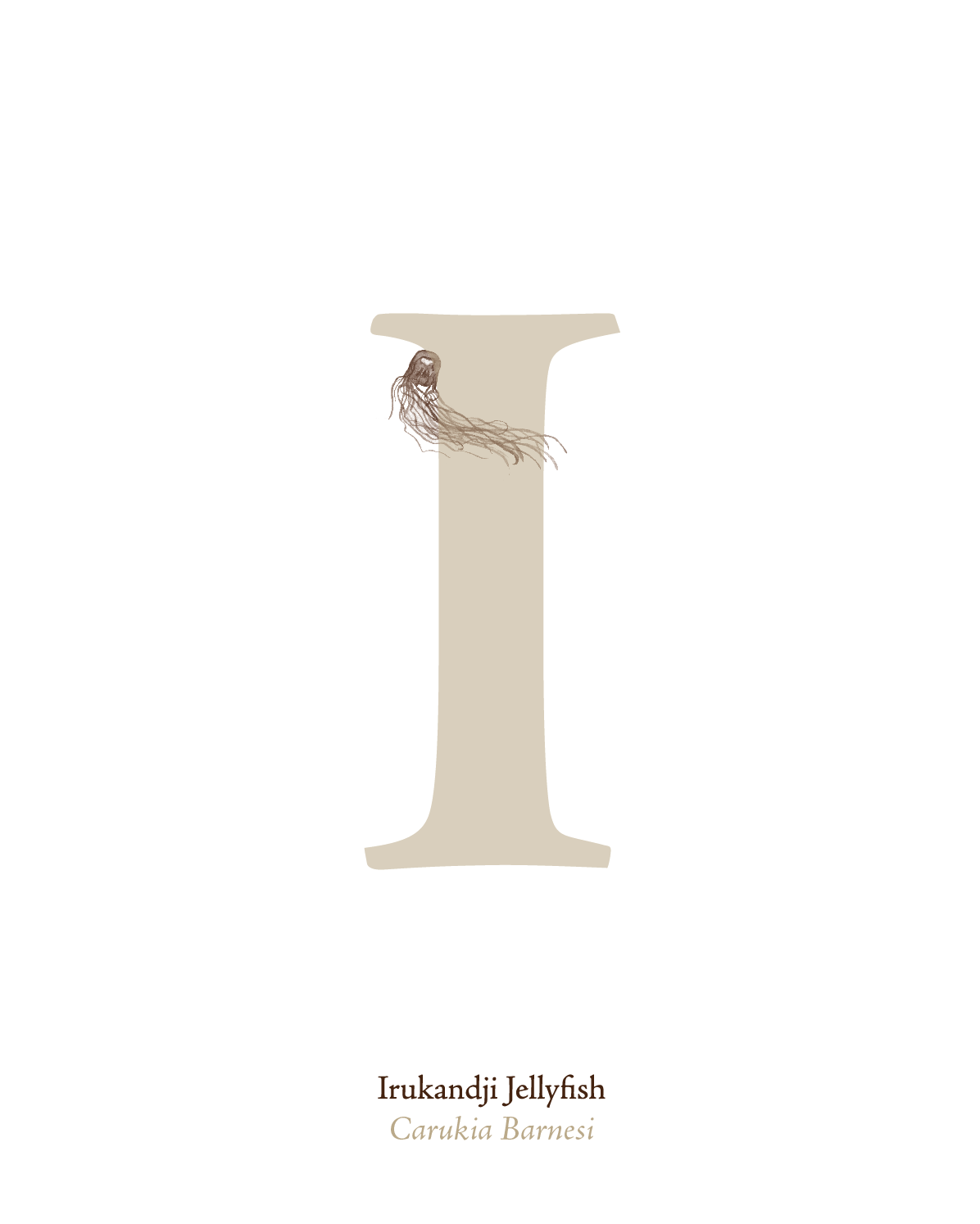 illustrated_sea_creatures-I.png