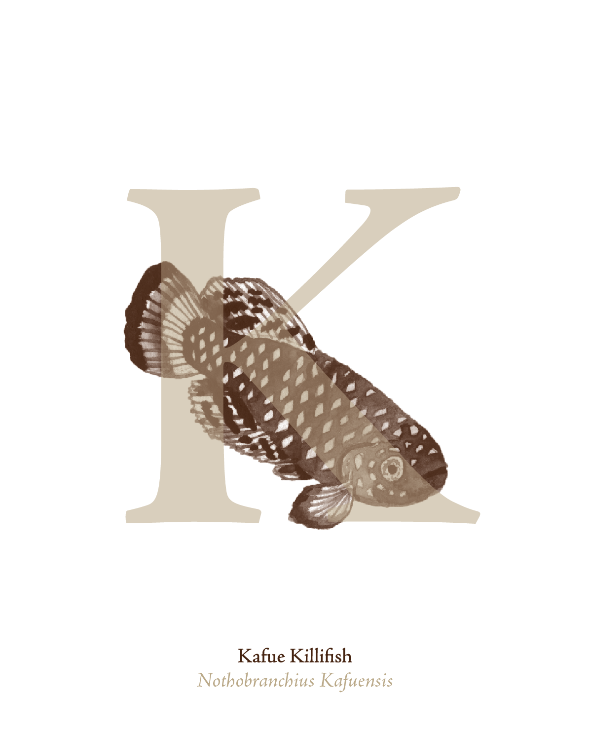 illustrated_sea_creatures-K.png