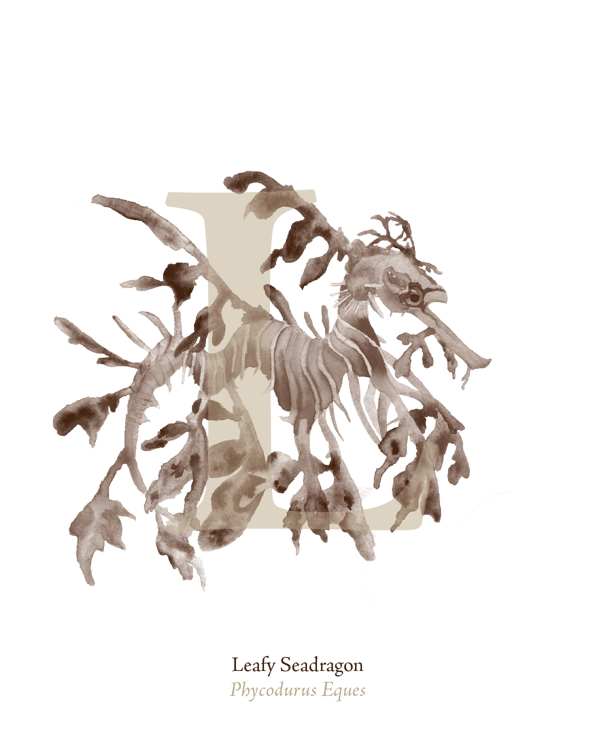 illustrated_sea_creatures-L.png