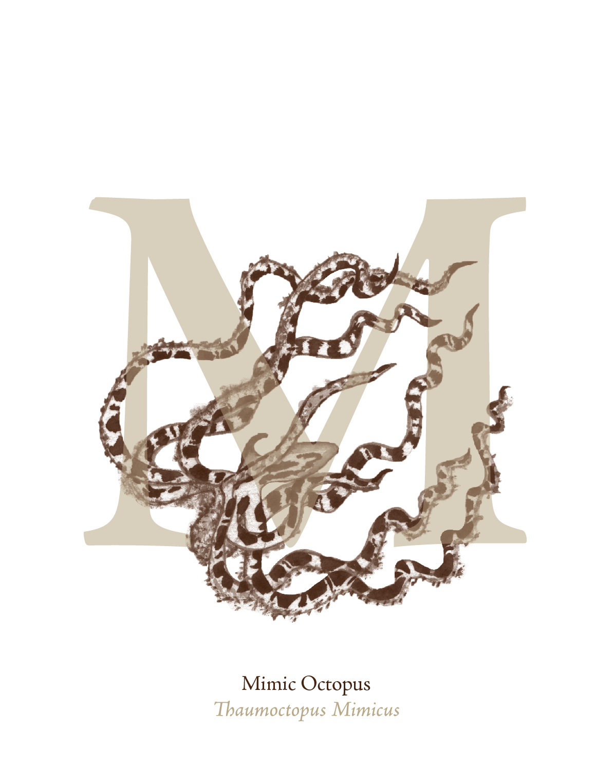 illustrated_sea_creatures-M.png