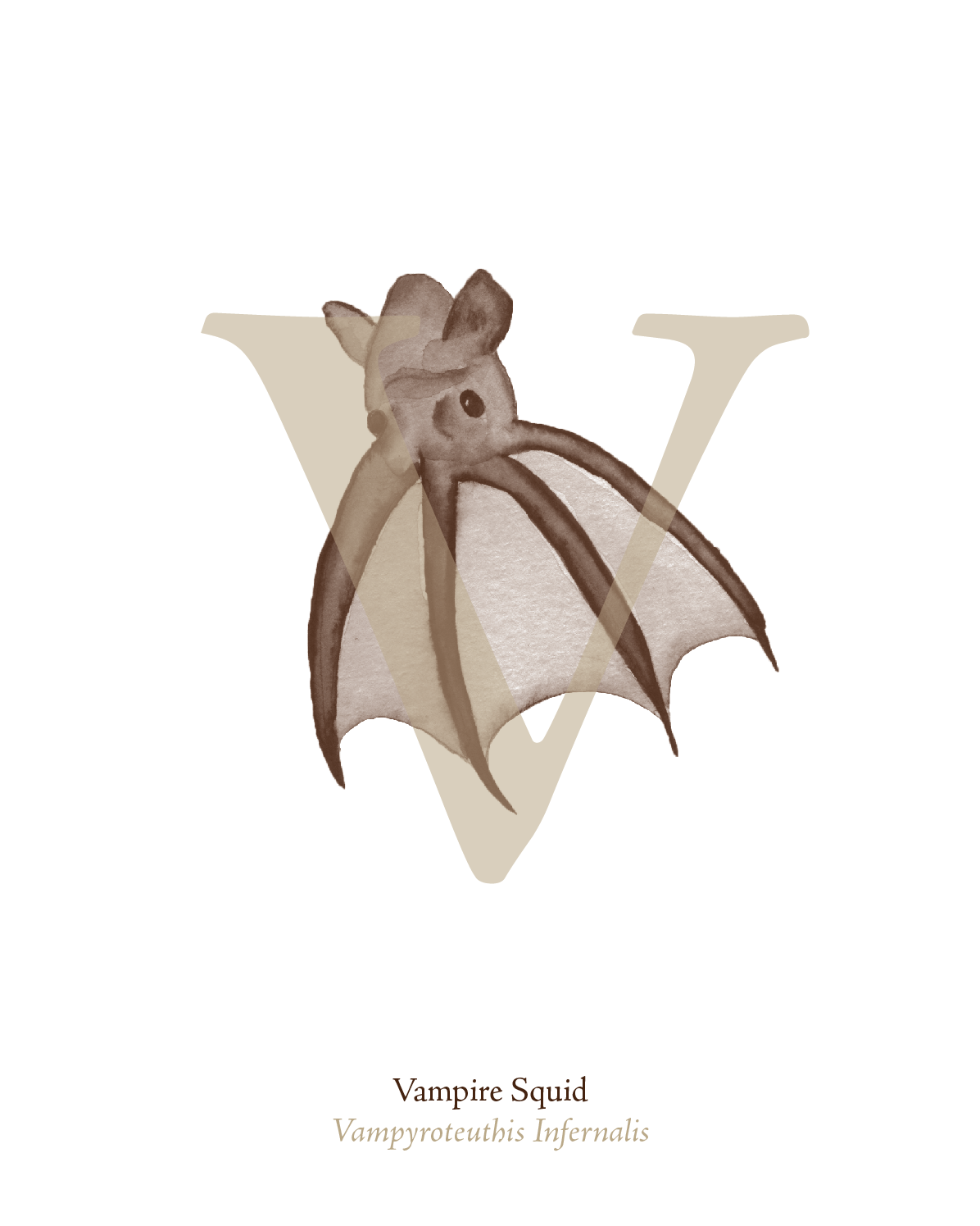 illustrated_sea_creatures-V.png