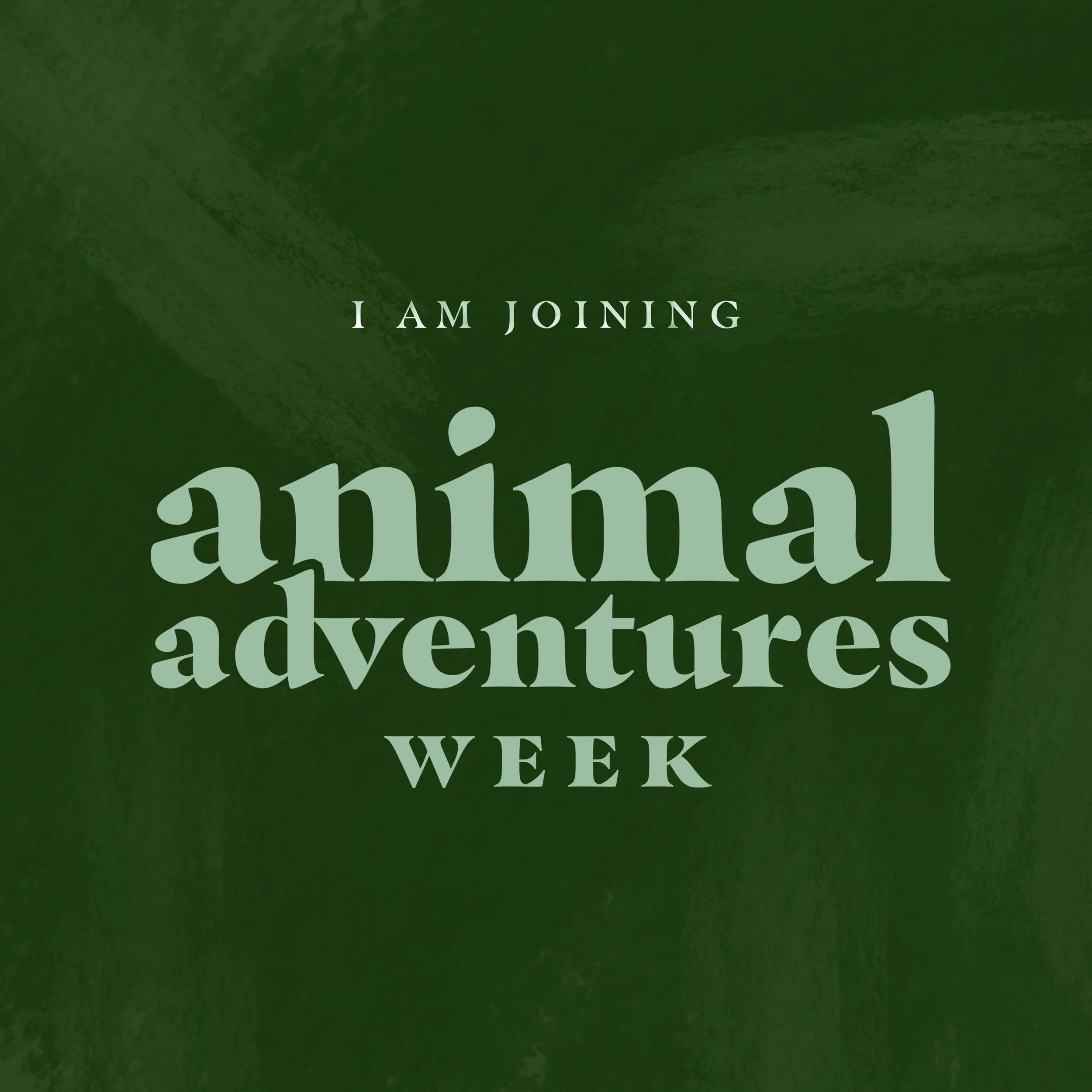 animal_adventures_week.jpg