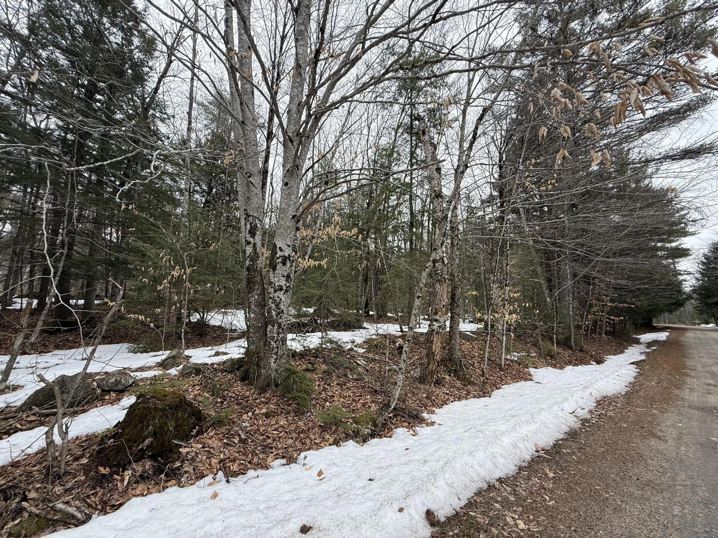 20260327164329501897000000-o.jpg