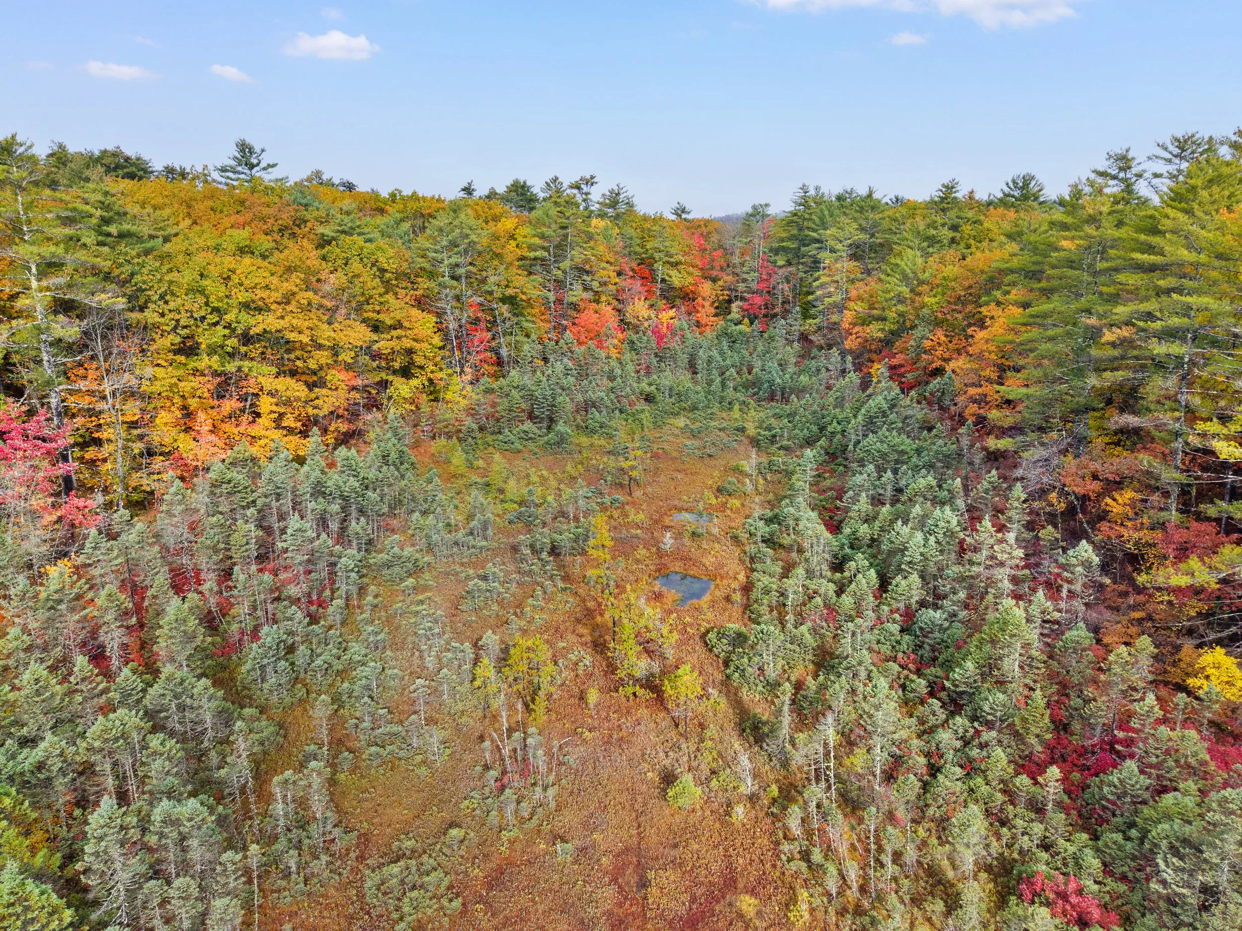 Lot 10-0042-1001 (10).jpg