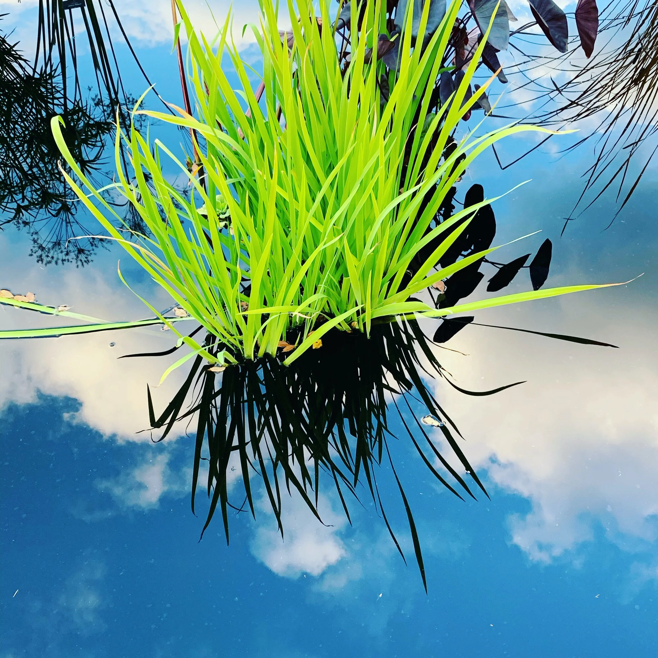 What Meditation Can Do for Your Leadership