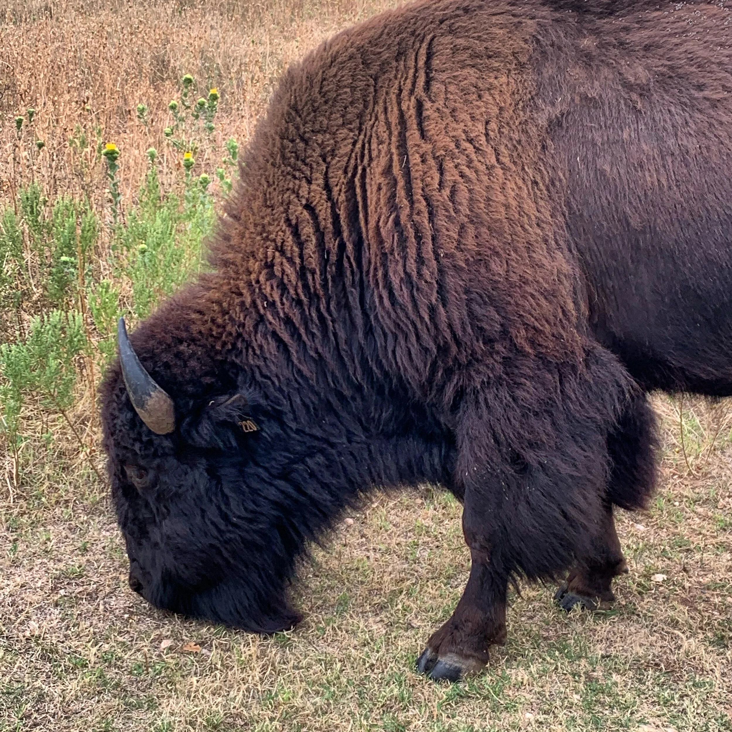 Persuading the Unpersuadable