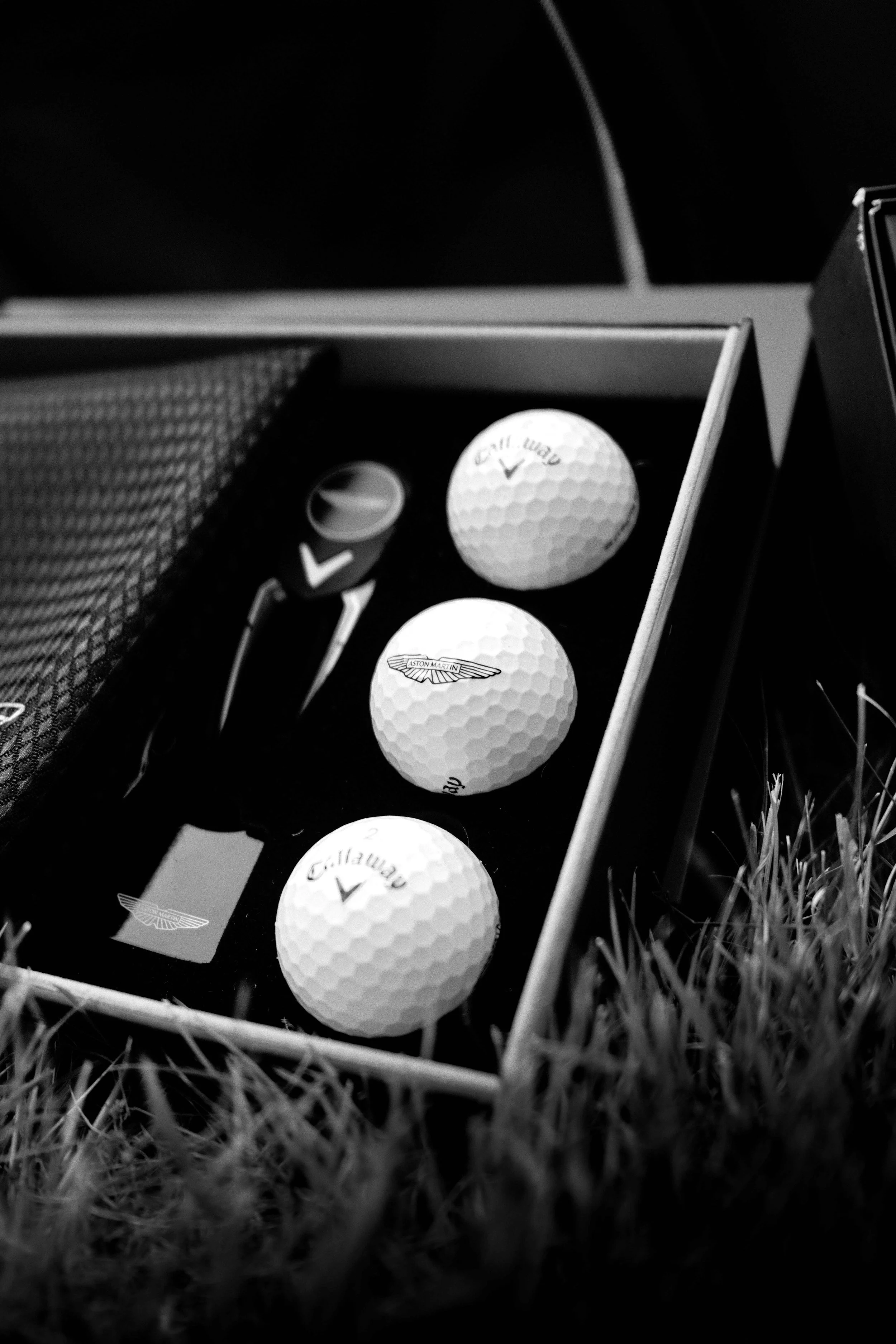 Paragon_Cup_WebImagery-74.jpg