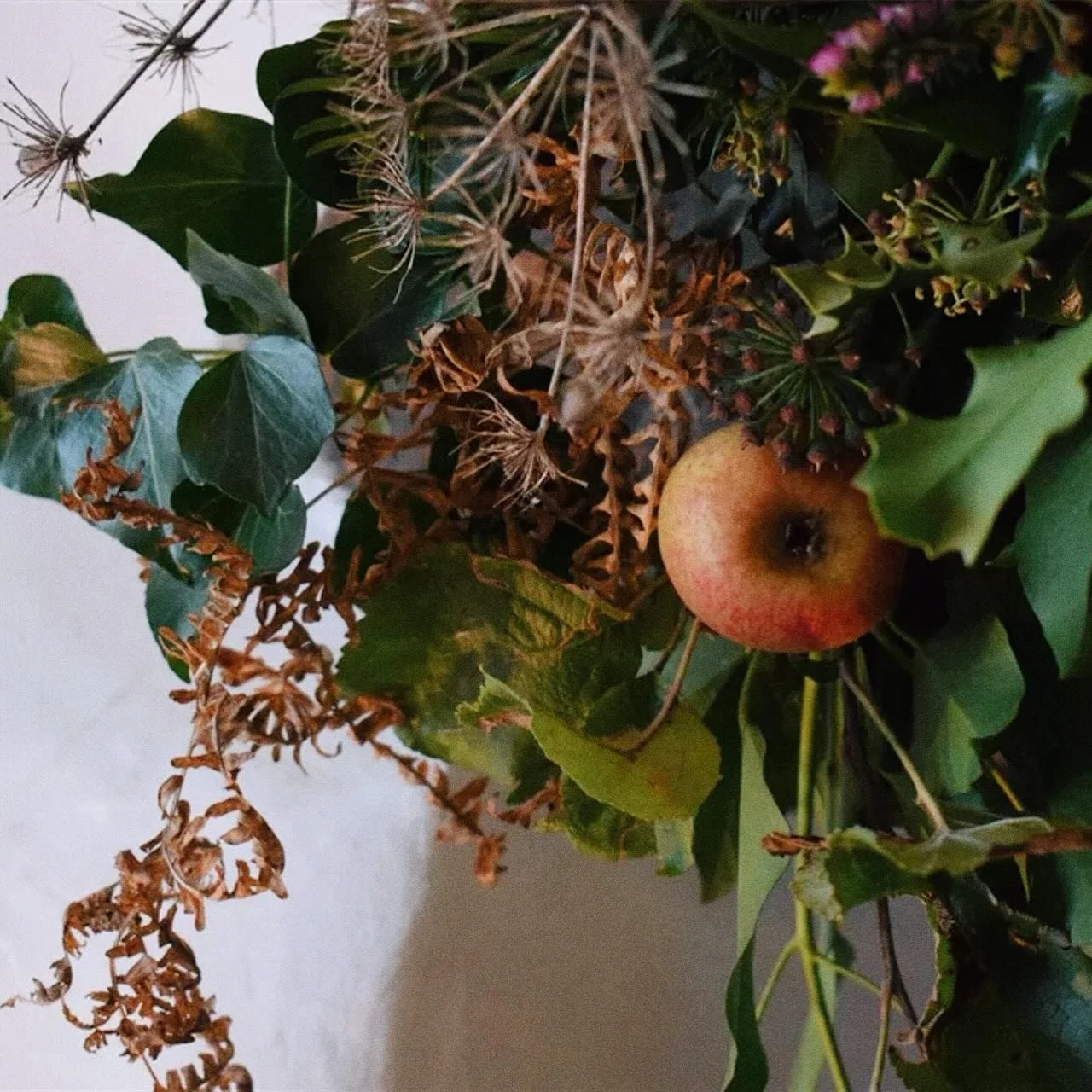 I&rsquo;ve decided to start writing a new blog - under the delightful name (if I do say so myself) Dormouse Diaries. 

This week I&rsquo;m getting the ball started by writing why Autumn is the cosy season we all need. 

I hope you enjoy it.

Love, R&