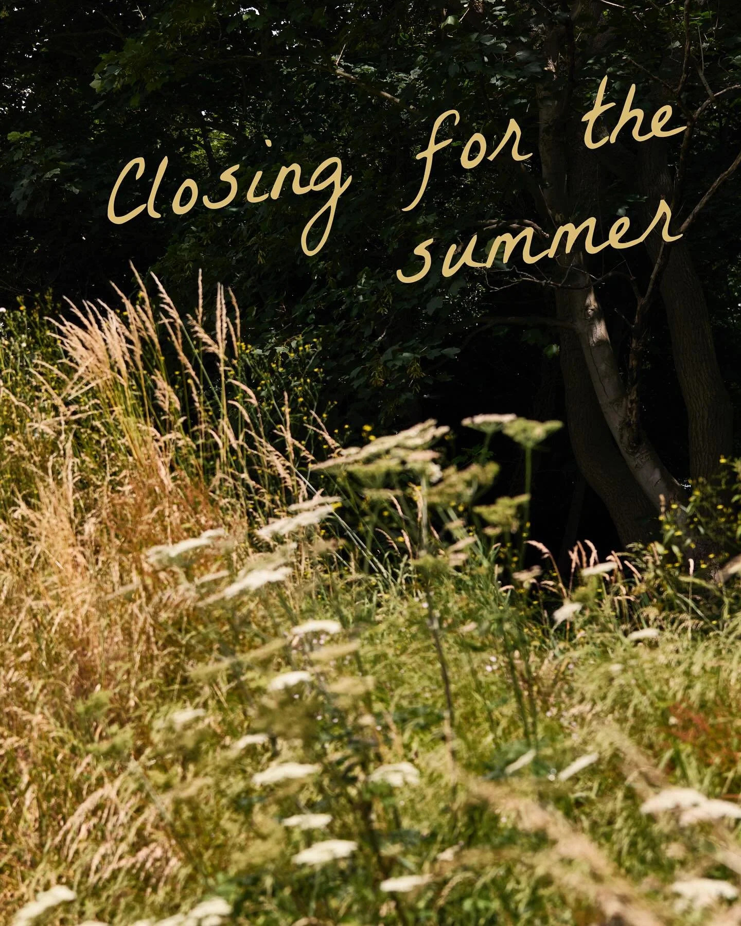 🌻 Summer Pause 🌻

The webshop (that&rsquo;s me) will be taking a little break from Saturday 26th July to Friday 9th August while I step away for some rest, inspiration and wandering through Swedish nature.

Orders placed before midnight on Friday 2