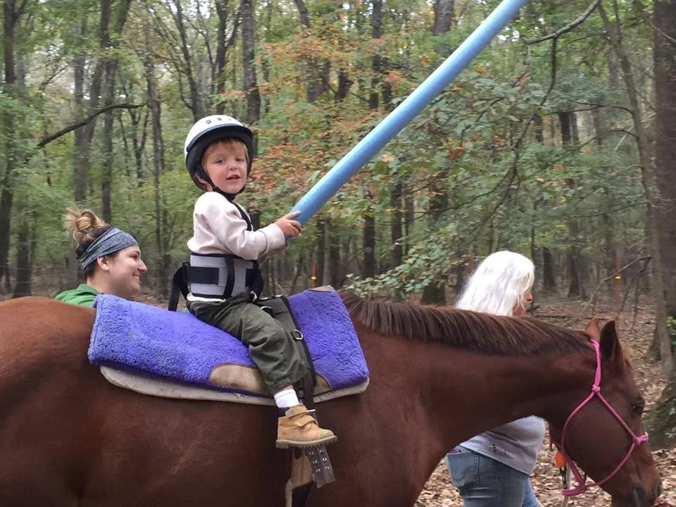 Freedom Reins Hippotherapy Kidsource Therapy Arkansas — Kidsource