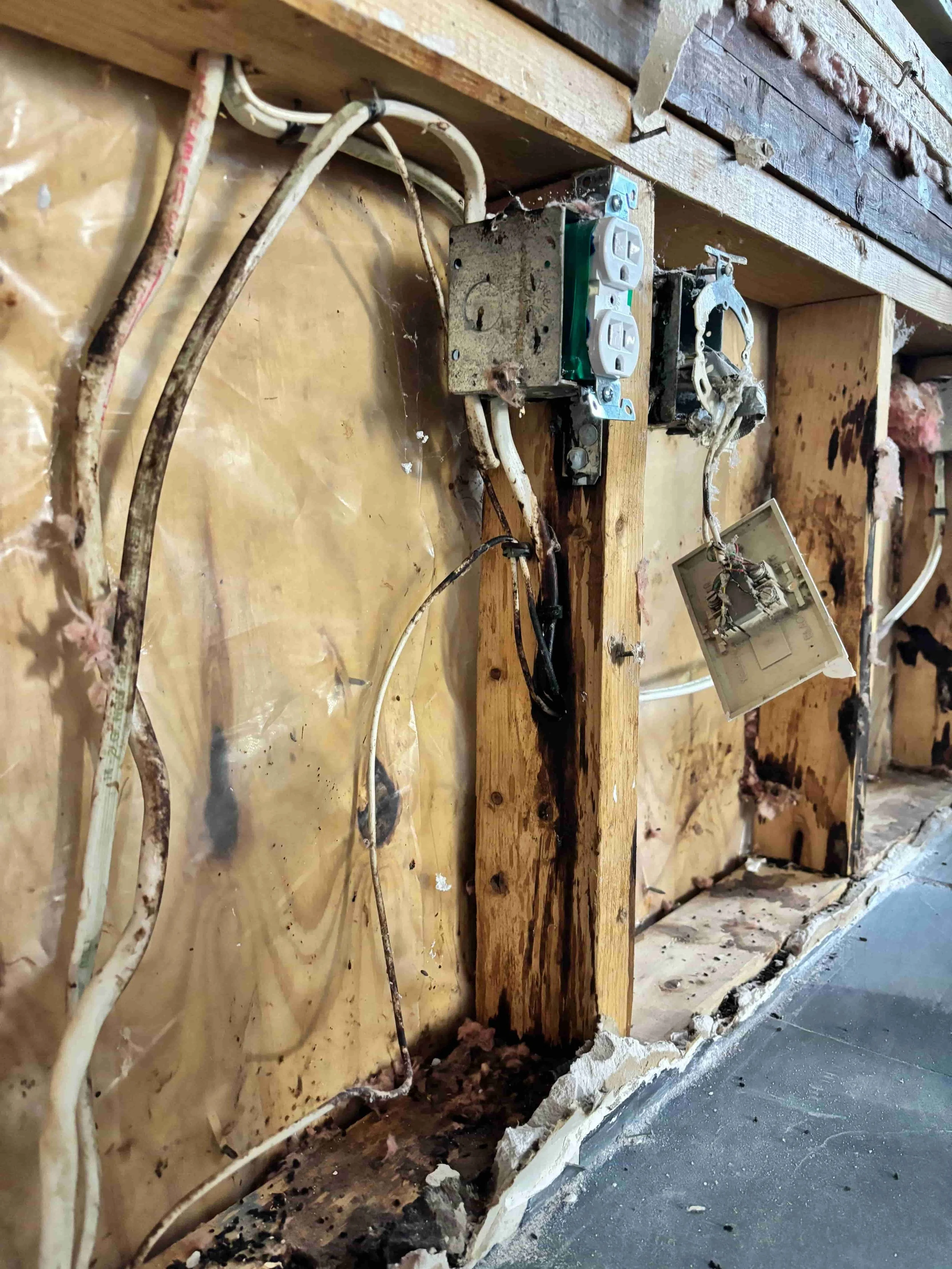 Black streaks on frame indicating mice activity