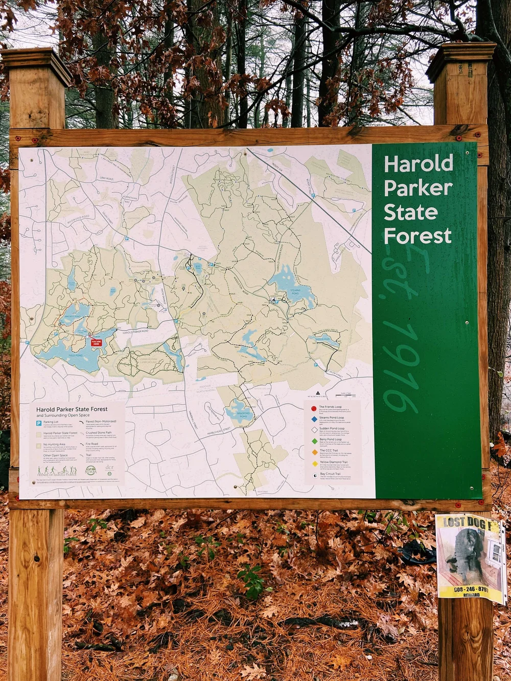 Harold Parker State Forest Trail Map Brackett Pond Trail, Herold Parker State Forest