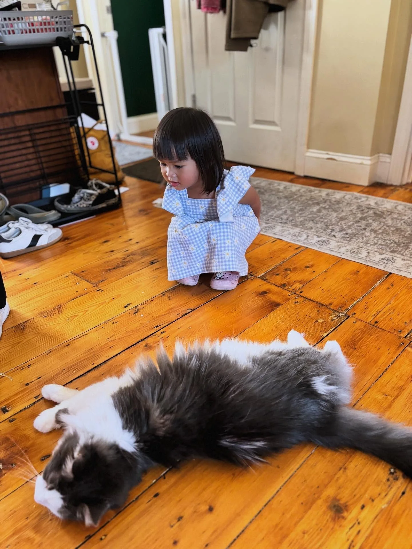 Curiosity and a cat! 💕