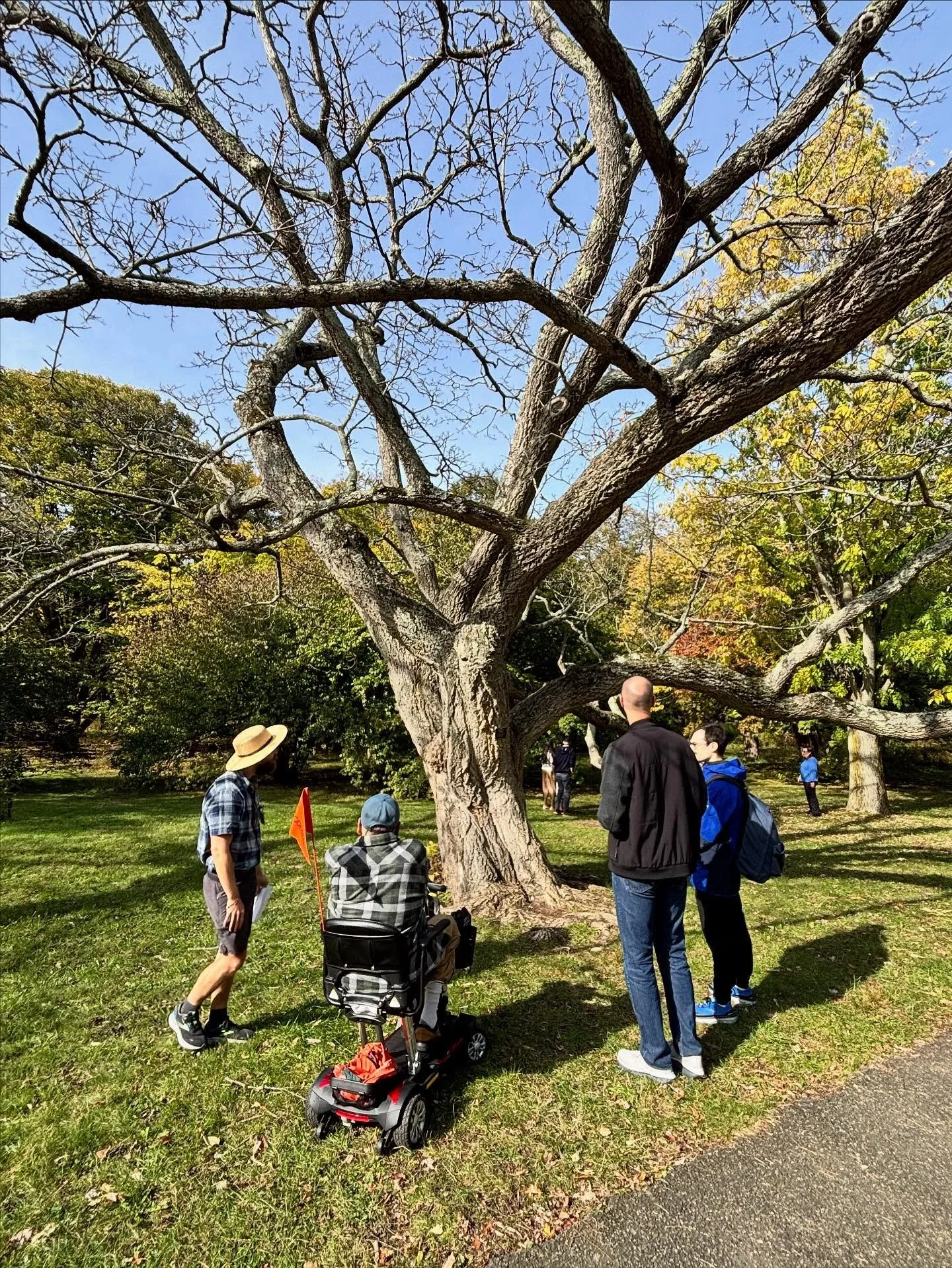Ralf and I lucked out last weekend with 70 degrees Fall weather that converged with our FREE 90-min docent-led guided tour of the @arnold_arboretum. It opened our eyes to more than “just trees”- it was about a place in history, in time, a