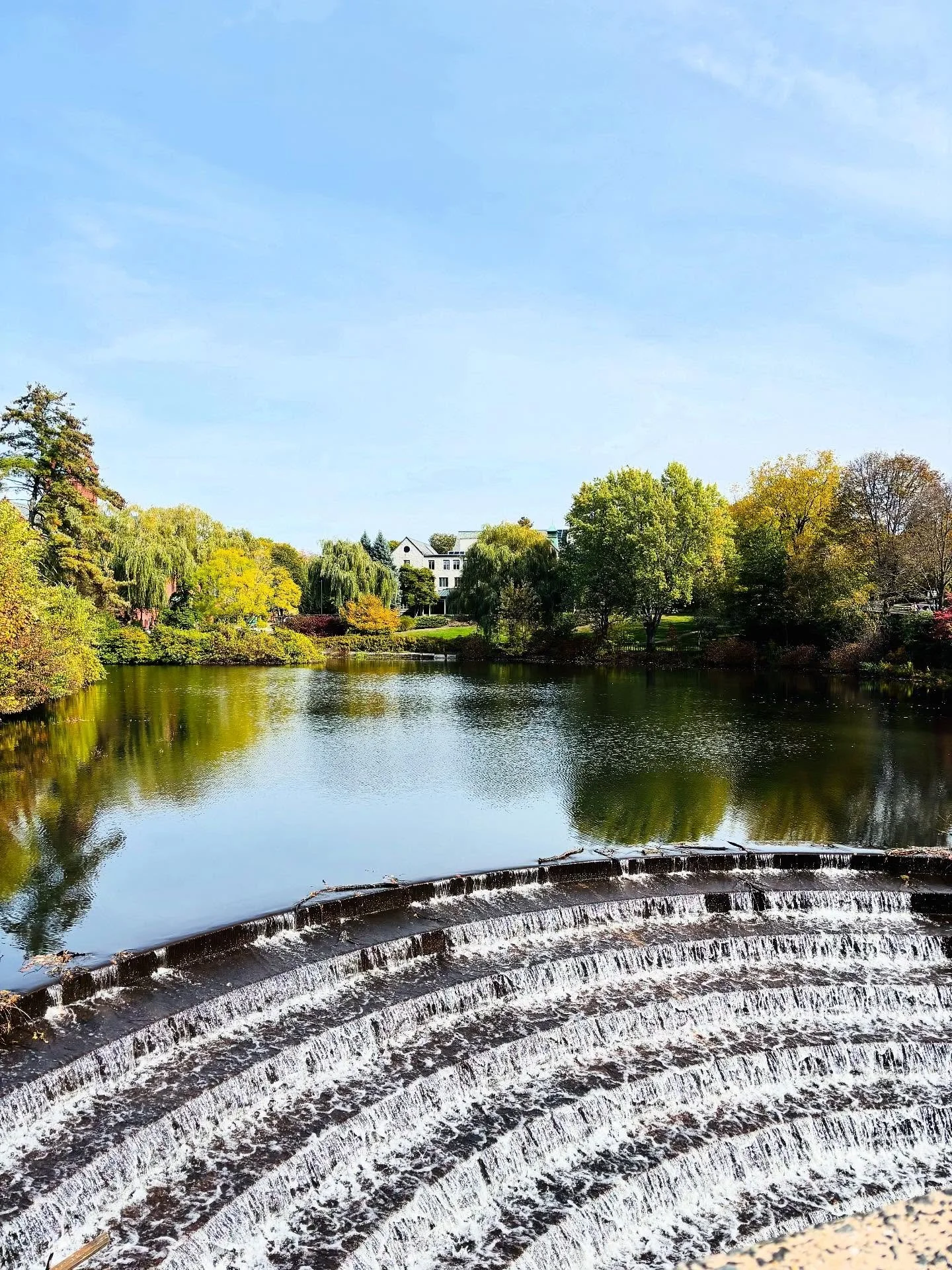 #winchester has one of the prettiest town centers in Greater Boston. More than shops and restaurants, they&rsquo;ve got this- the Center Falls Dam with a fish ladder!

A fish ladder is a structure that provides enough water to allow fish to migrate a