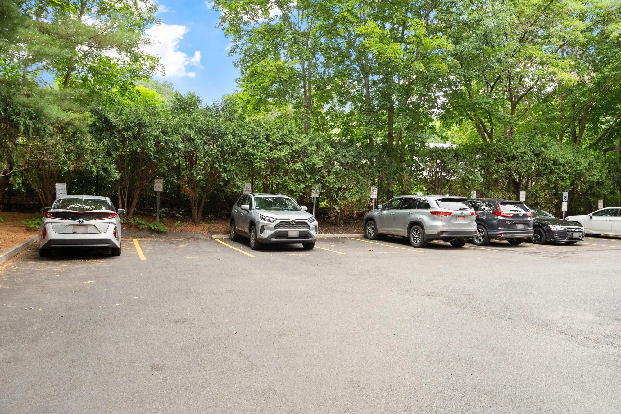 Parking lot with five cars parked, surrounded by green trees and signs indicating designated parking zones.