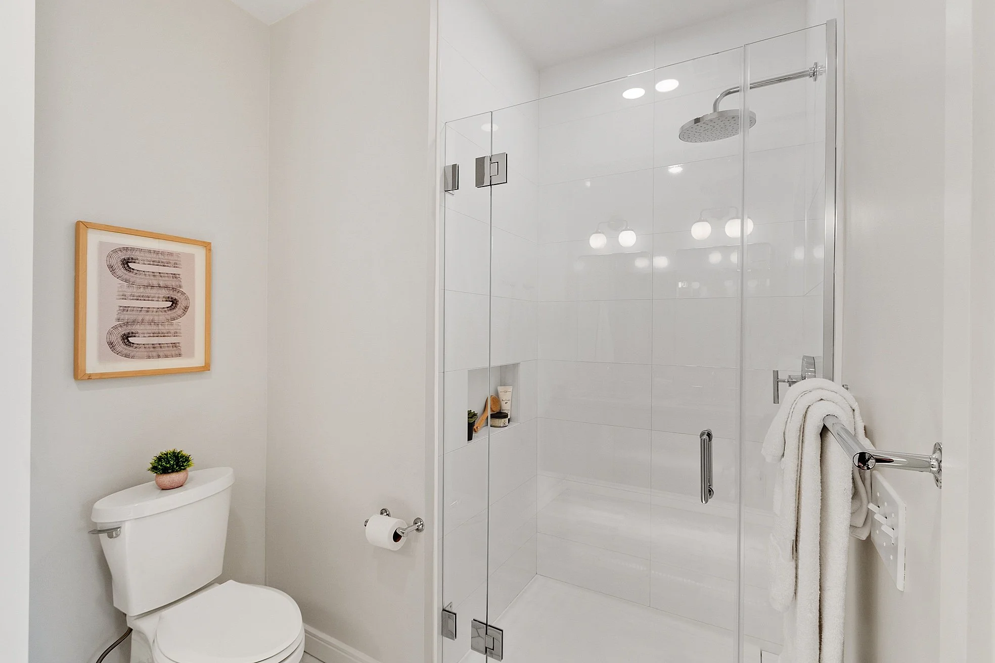 Modern bathroom with a toilet and glass shower enclosure, decorated with a small potted plant and framed artwork on the wall.