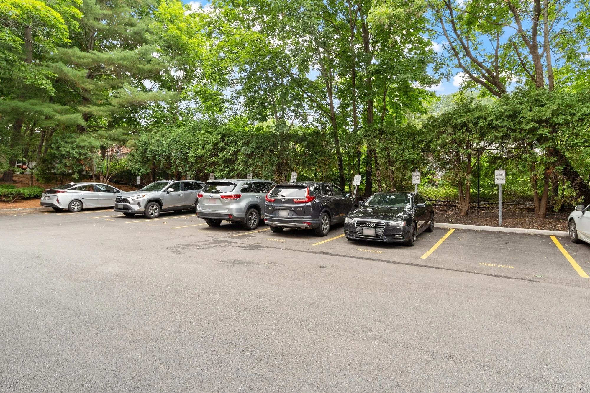 Parking lot with five parked cars next to a green tree-lined fence.
