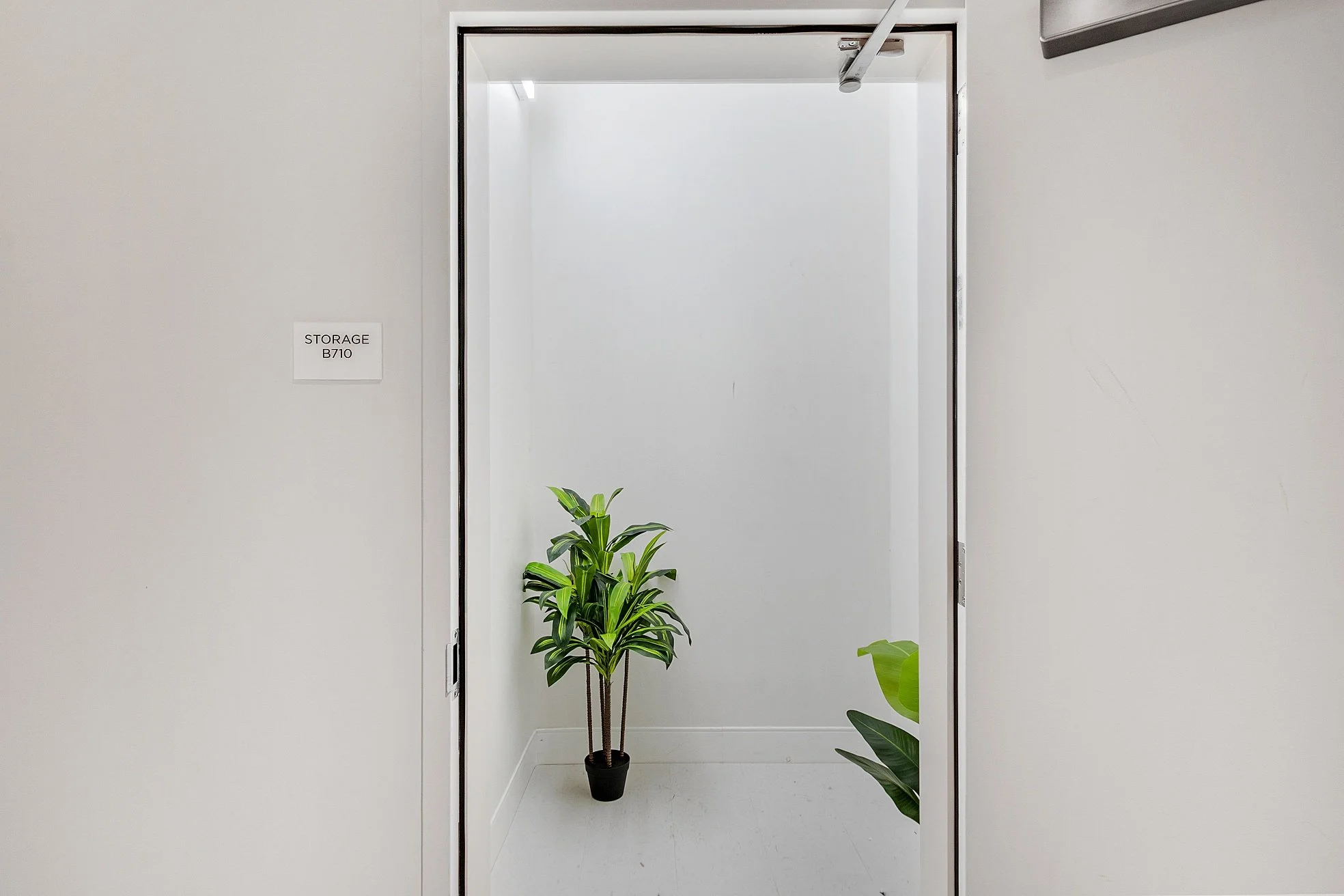 Empty storage closet with two potted plants inside, white walls, and a sign that reads "STORAGE B710" on the left wall.
