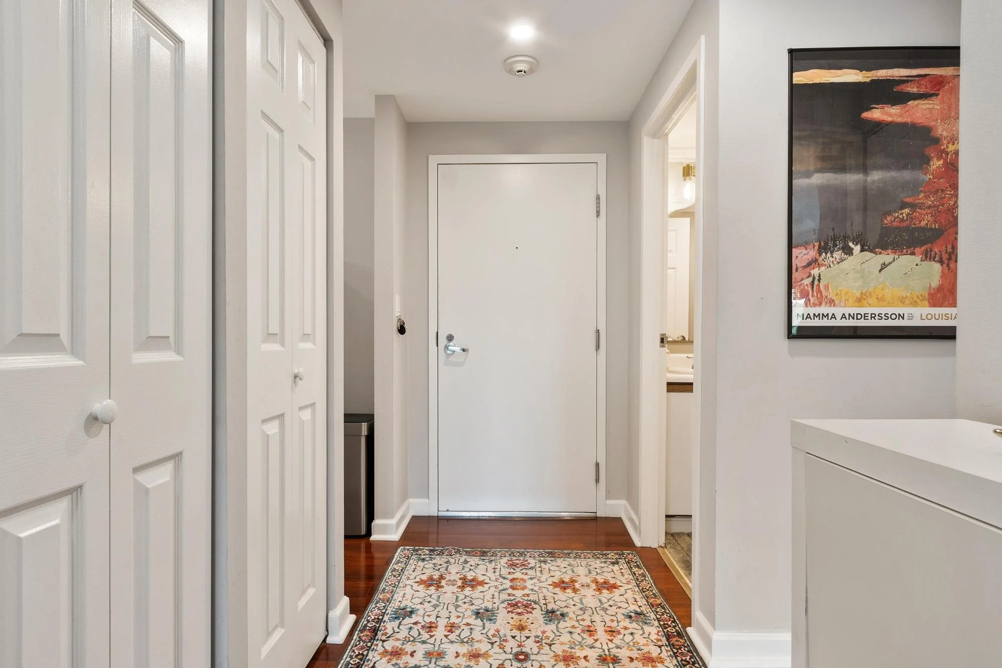 A small entryway with white walls, a white door, and hardwood flooring. On a wall to the right, there's a framed poster of a painting with the text "Mamma Andersson Louisiana." To the left, there are double closet doors with white knobs. A patterned rug with floral designs covers part of the floor. An open doorway leads to a bathroom, where a sink and mirror are visible. Ceiling lights illuminate the space.