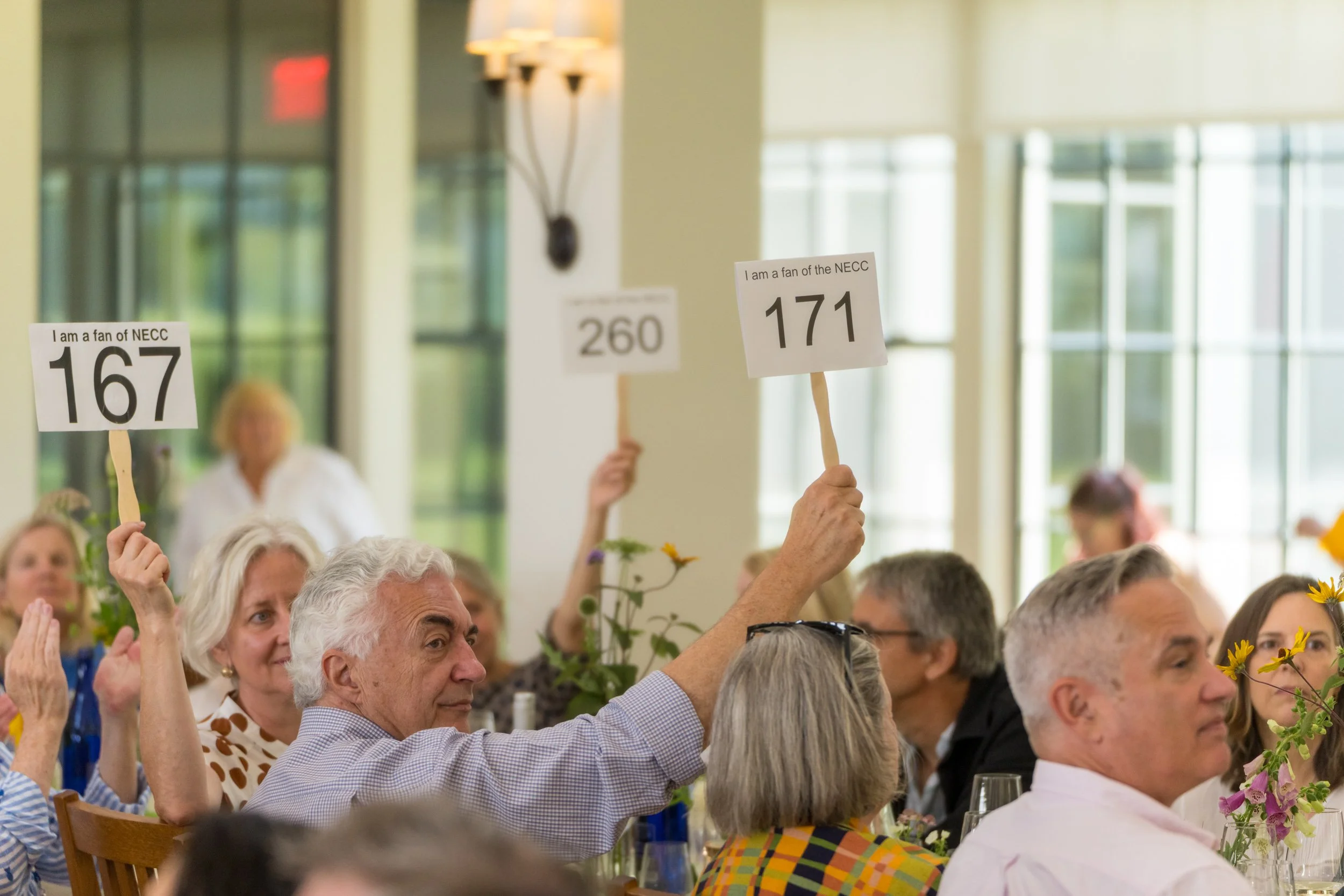 DSC08493.jpg