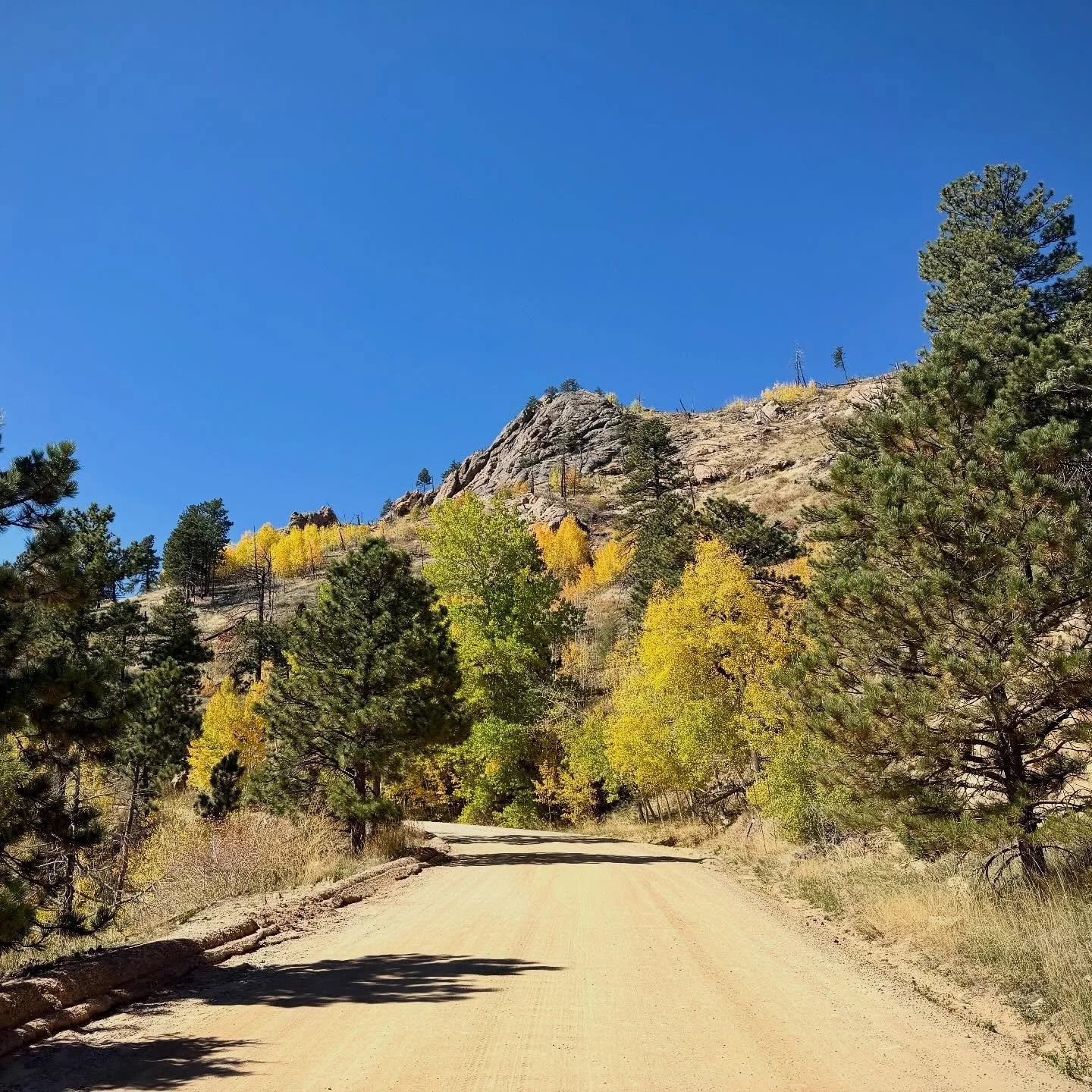 Fall ride above #boulder 

#gravel #cycling #colorado #coloradolife