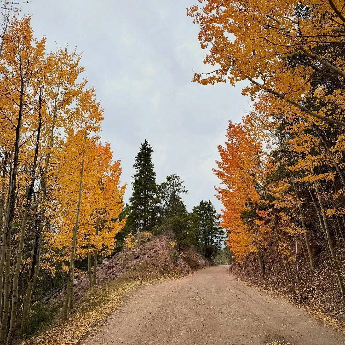 Breckenridge up to Boreas Pass.

#cycling #colorado #breckenridge #coloradolife #gravelbike