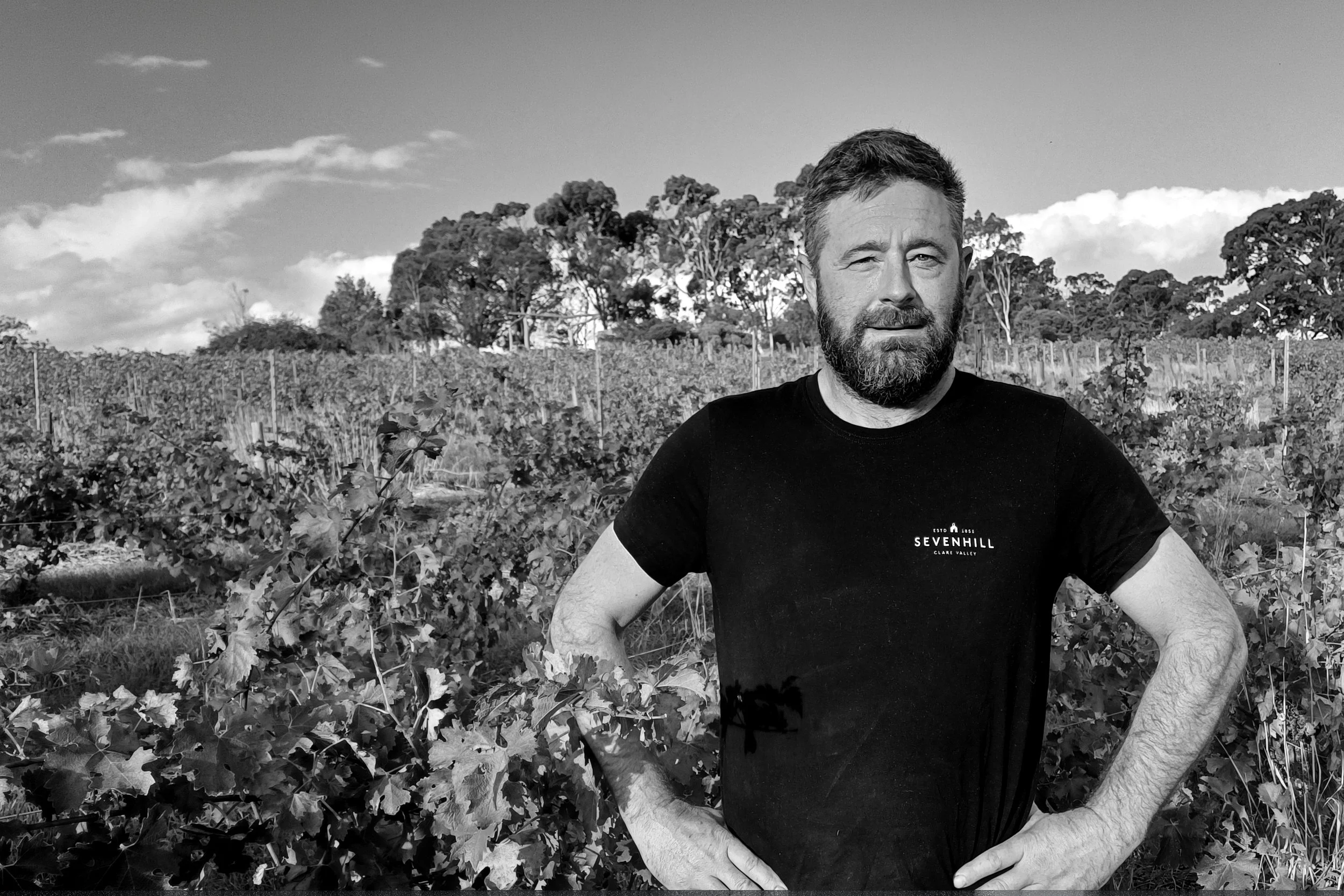 New Sevenhill Cellars chief winemaker Ben Marx stands in a vineyard in the Clare Valley.