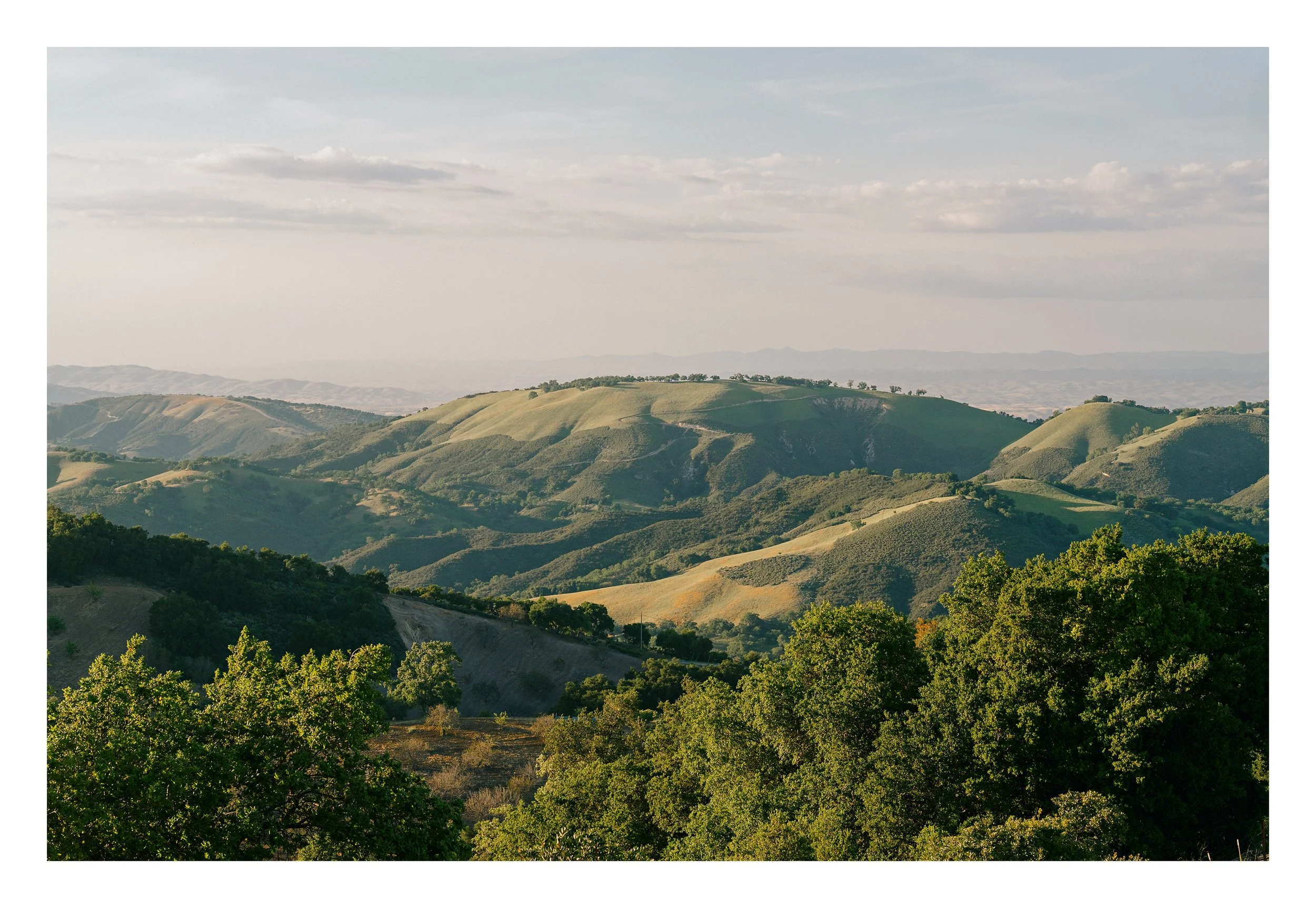 A majestic view of the Paso Robles highlands in warm, twilight hues, looking across DAOU vineyards, taken from the top of DAOU mountain.