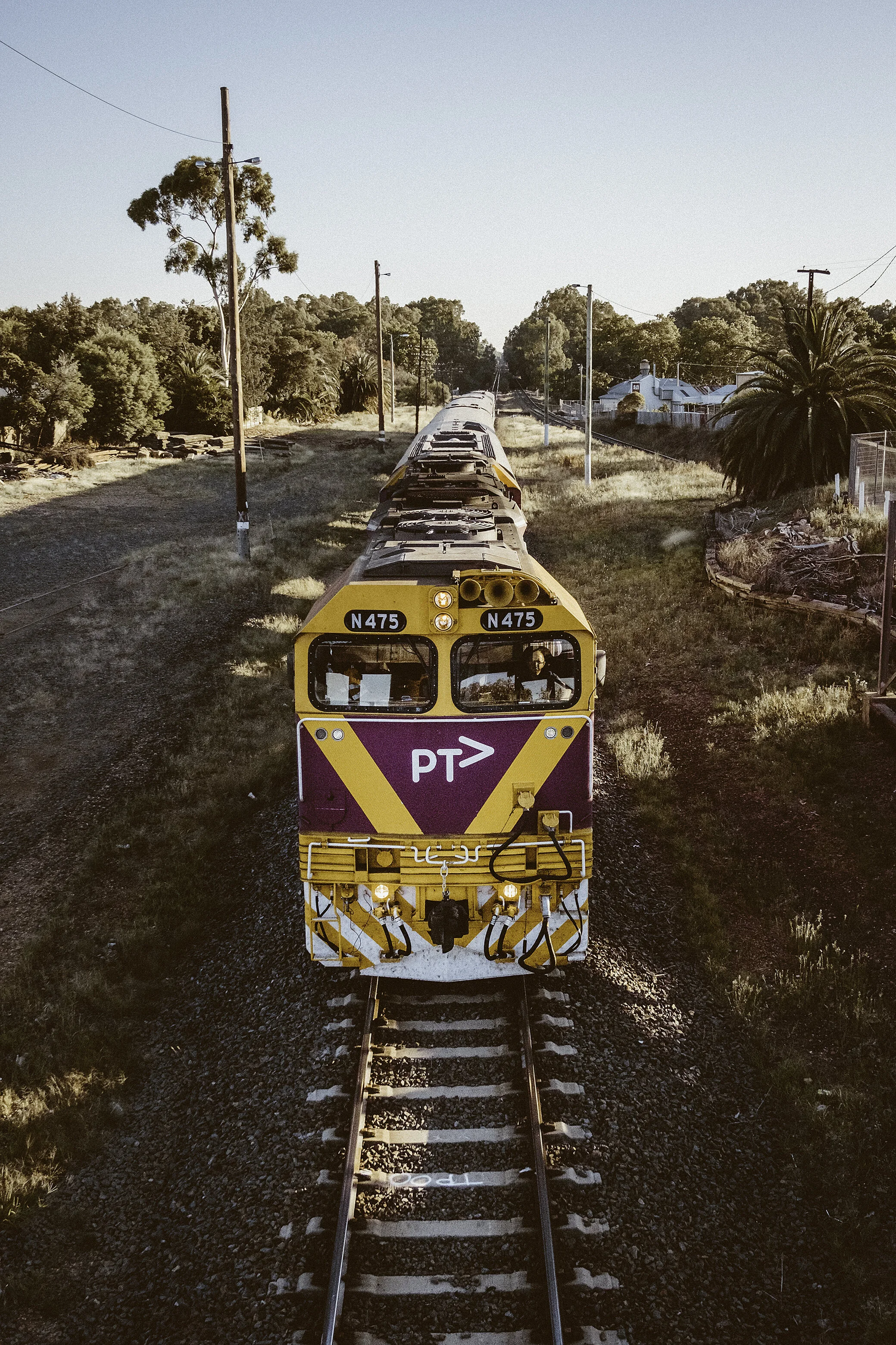 A colorful train traveling on a track through a rural area near Wangaratta Railway Station with trees and houses, under a clear sky.