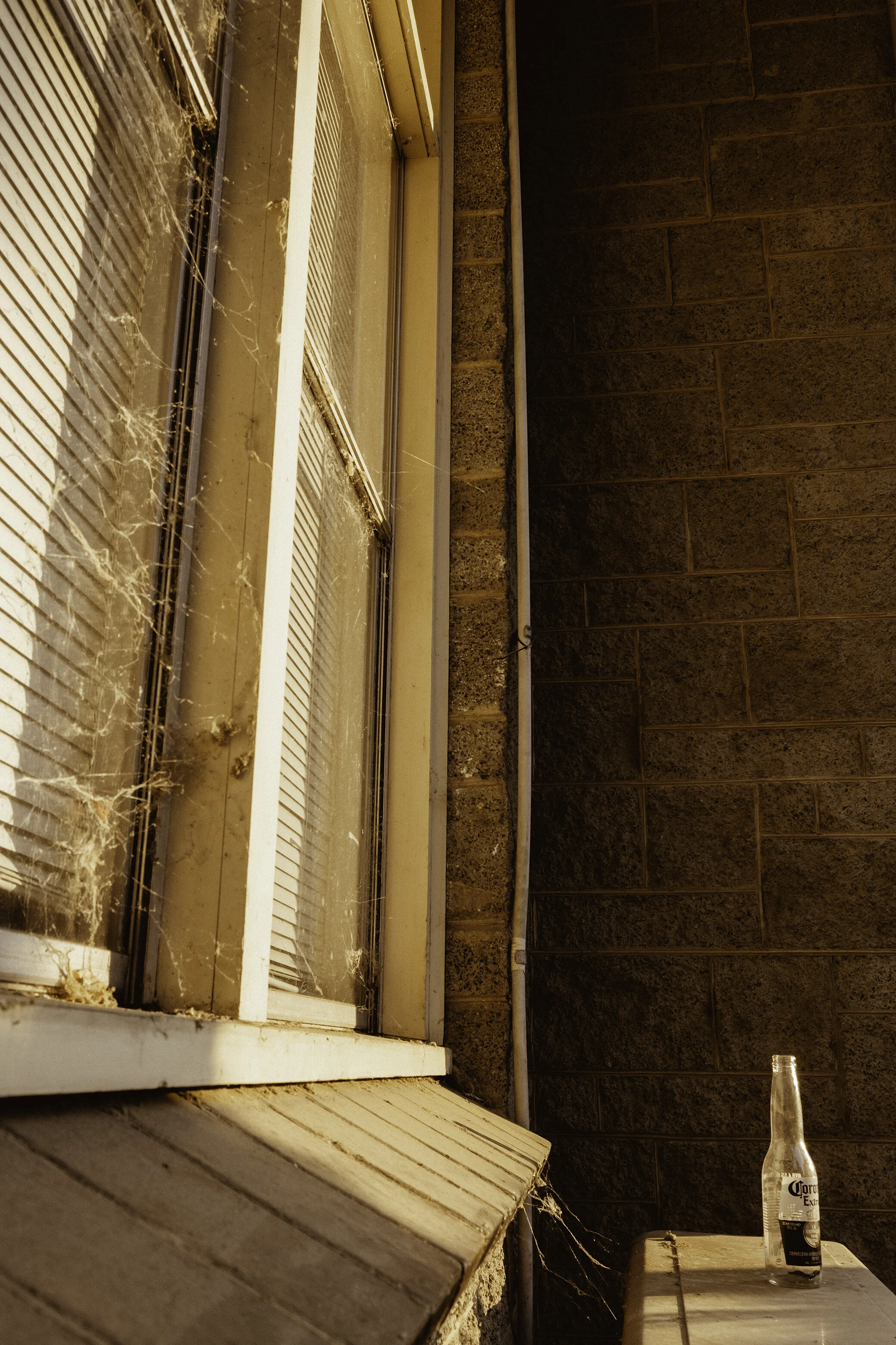 A corner of a brick building with a window covered in cobwebs, a bottle of Corona beer on a ledge in the sunlight.