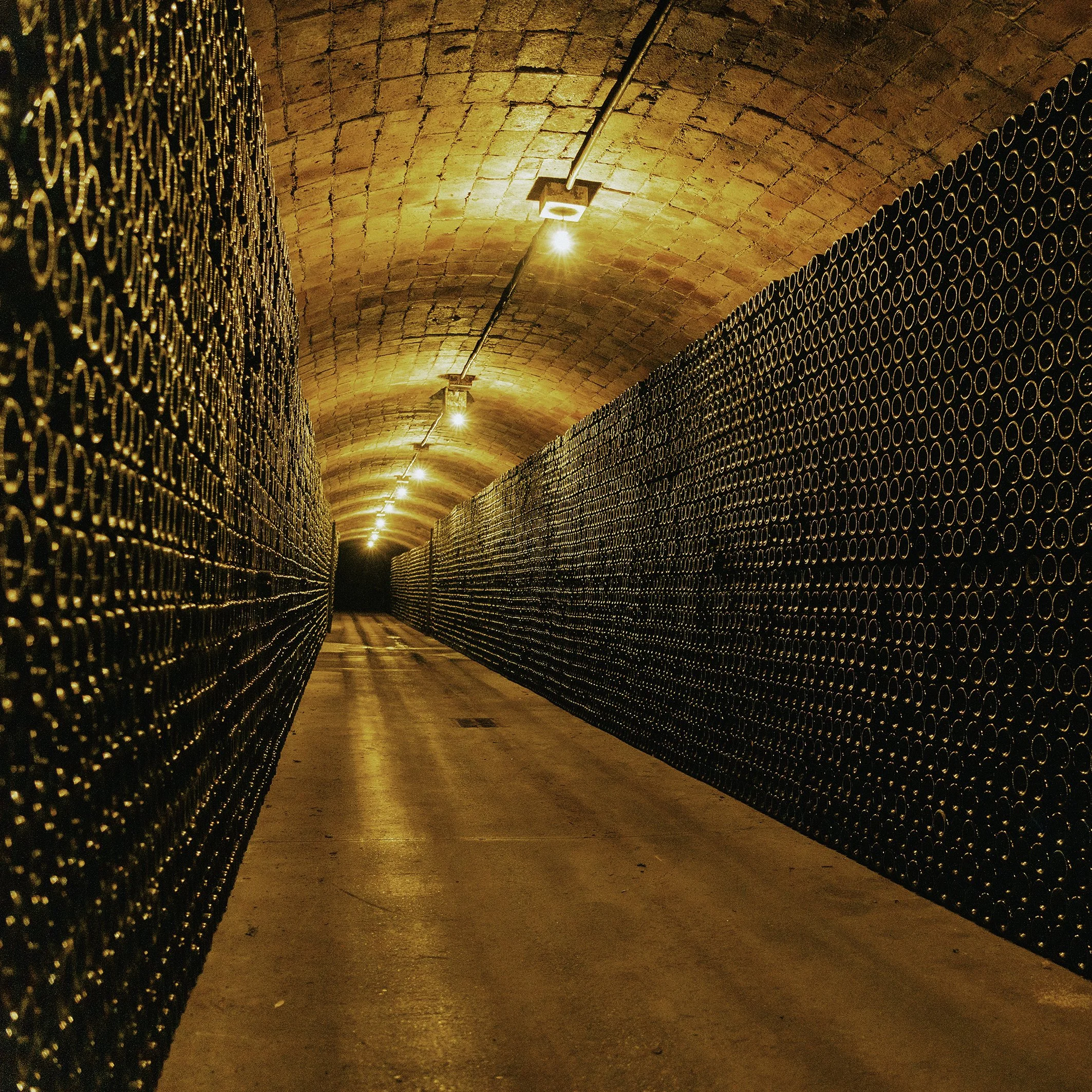 World’s First 100% Certified Organic (Major) Wine Region