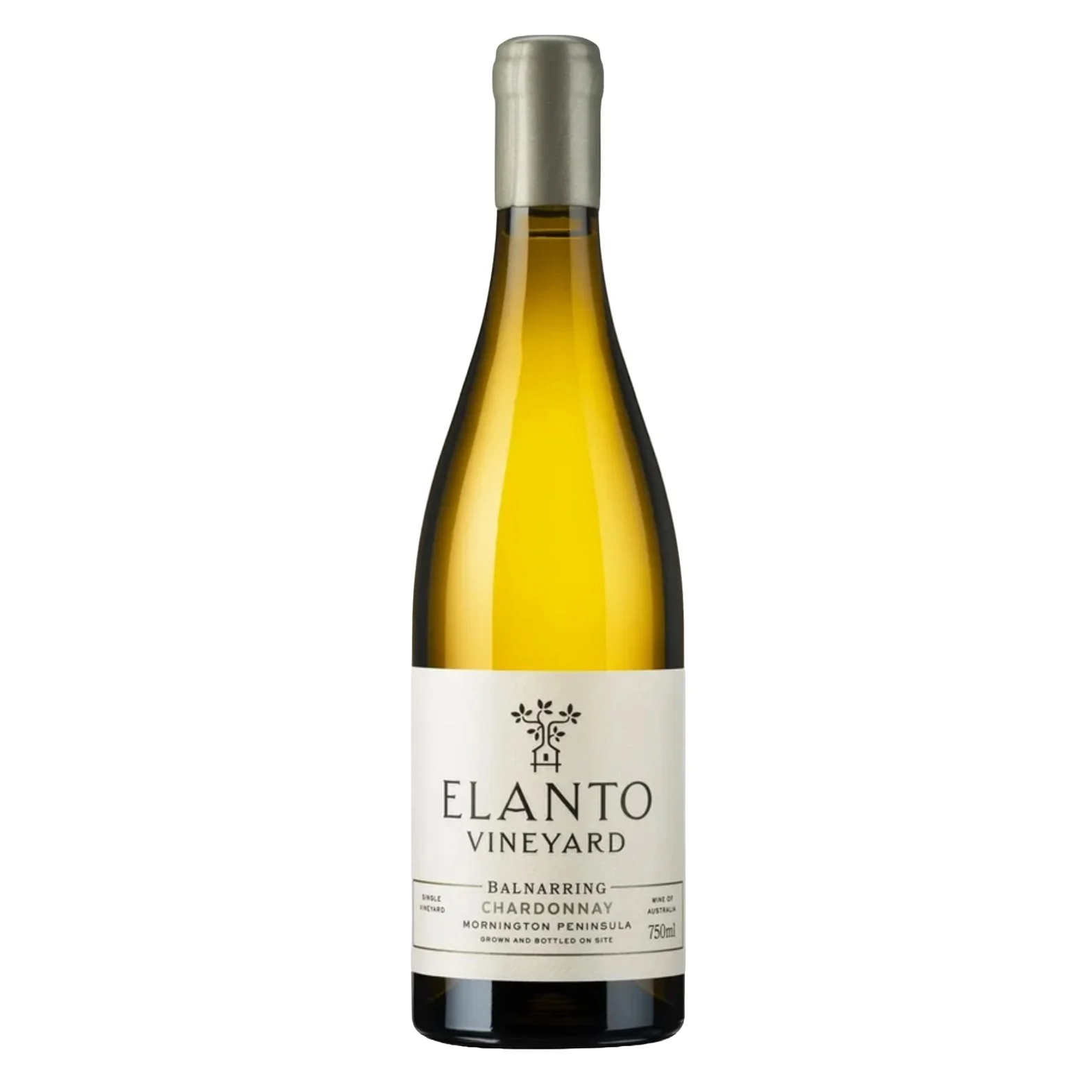 Elanto Chardonnay 2024