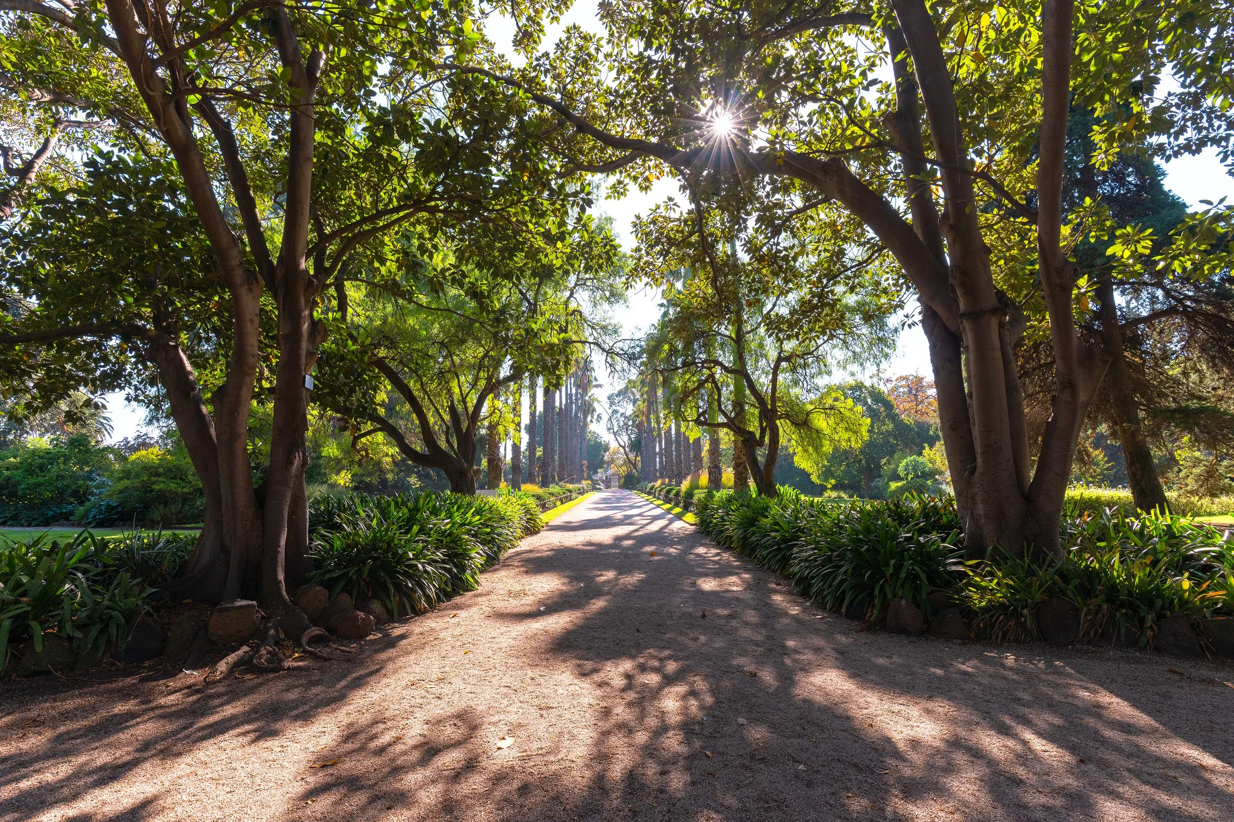 Williamstown Botanical Gardens South Entrance.jpg