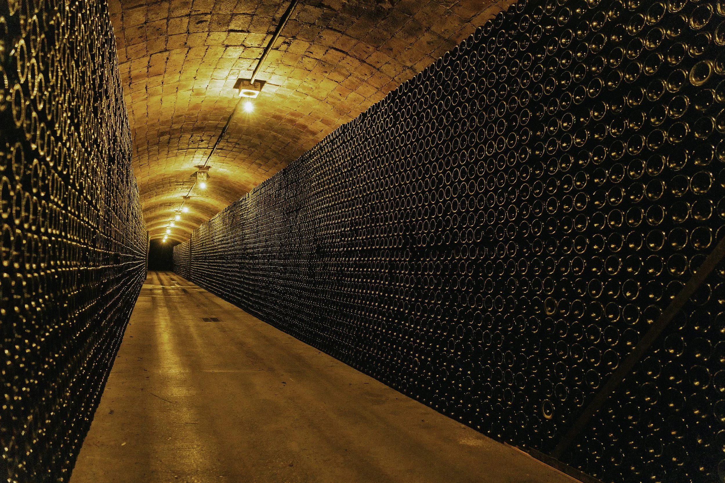 Masses of sparkling wine bottles in cava cellar rovelatts.