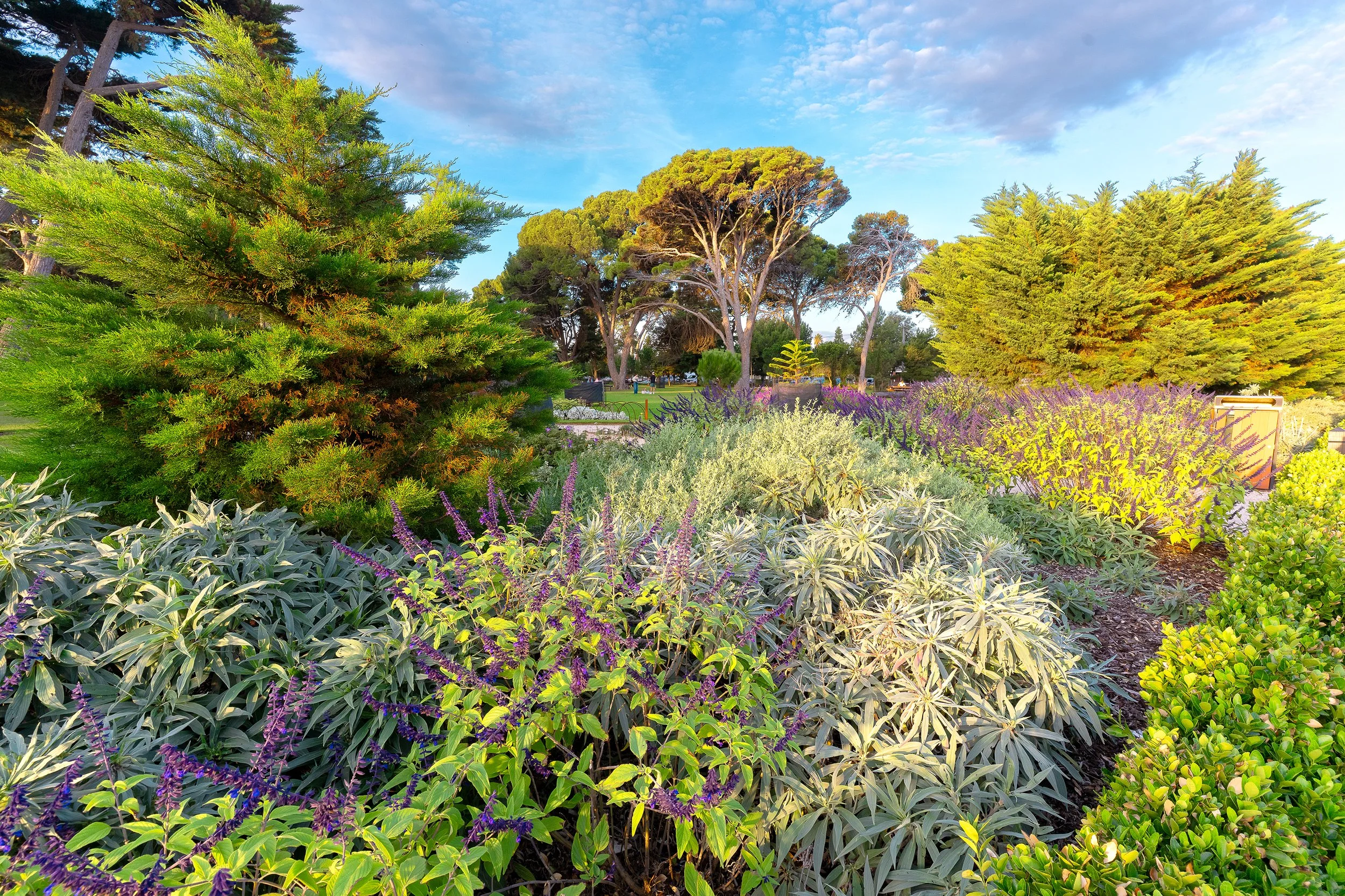 Williamstown Botanical Gardens.