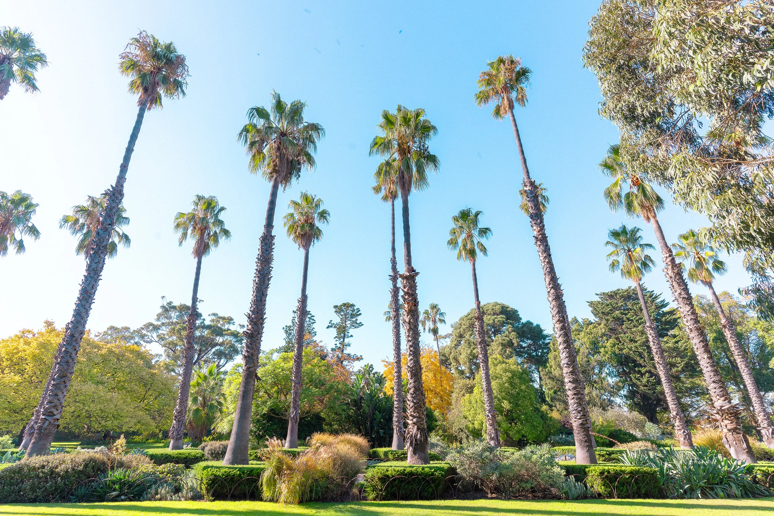 Williamstown Botanical Gardens Looking east v3.jpg
