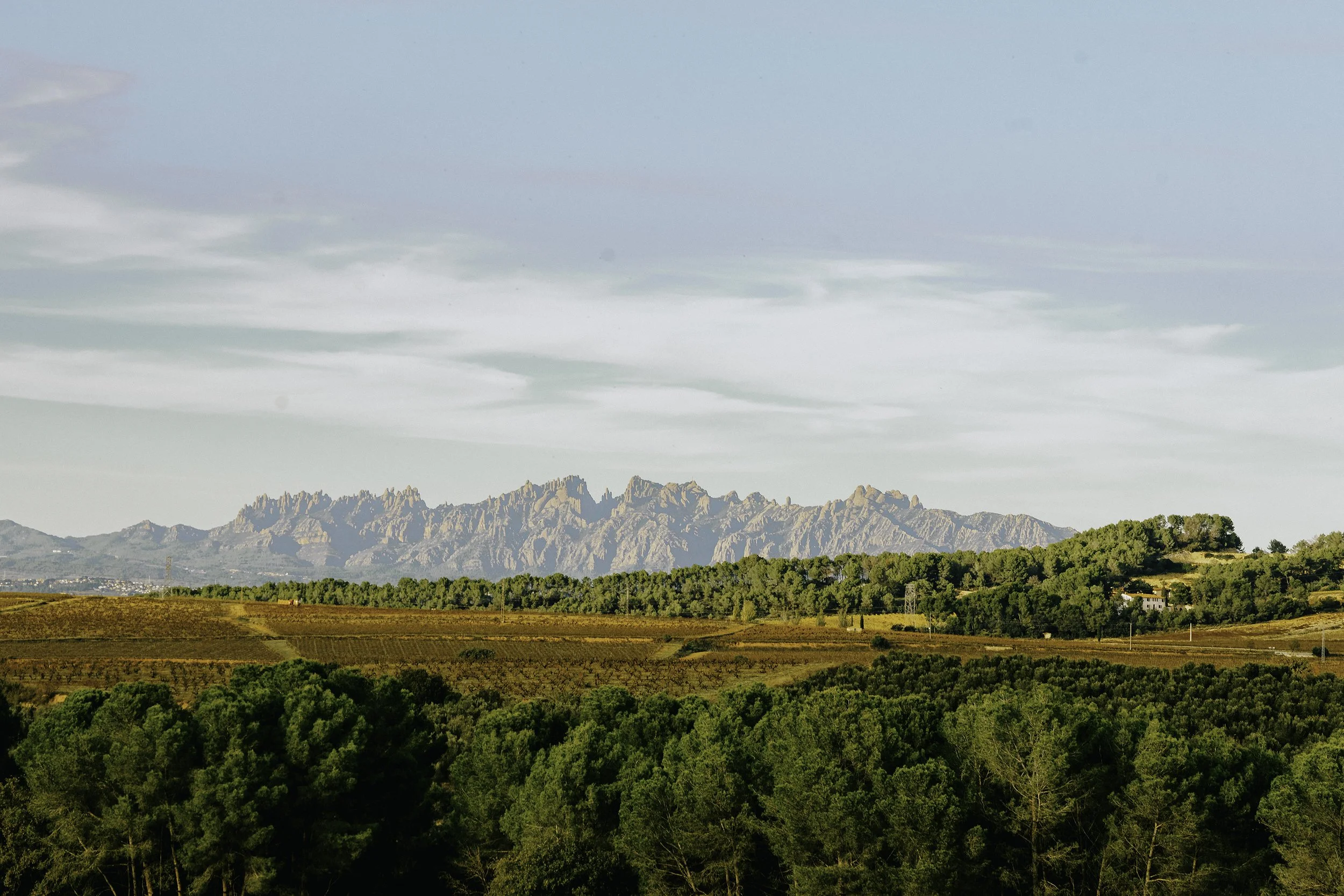 Wide view of Montserrat from Cava Conference 2025.