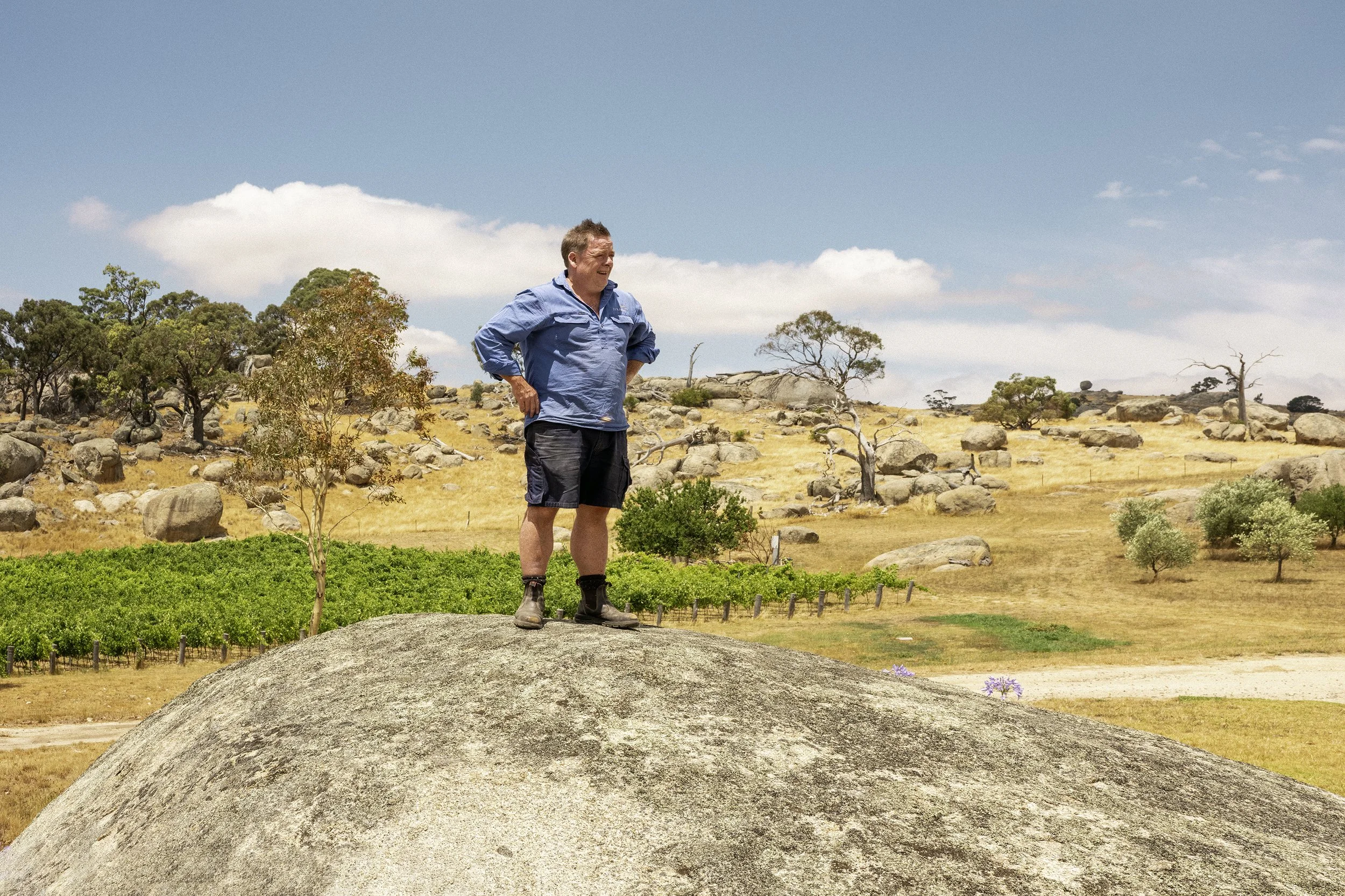 Winemaker Adam Foster stands on the Syrahmi winery property, looking out at this vineyard.