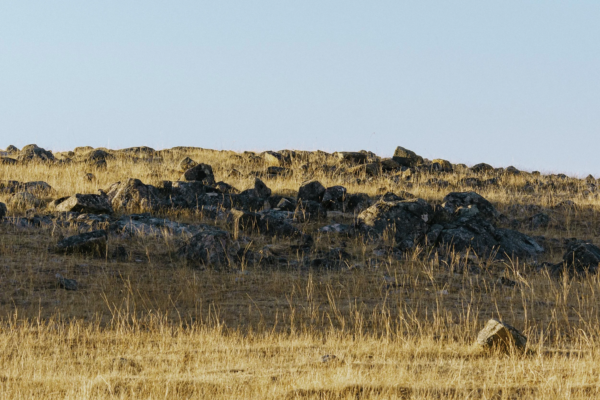 The granite-strewn lands of the Beechworth wine region.